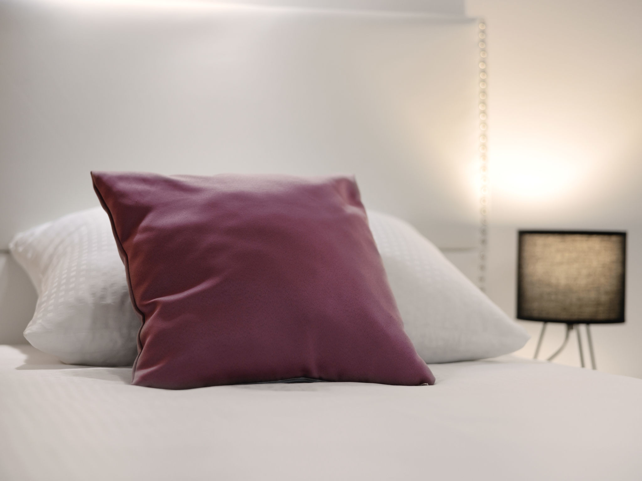 Premium DC apartment Osijek-Binnen