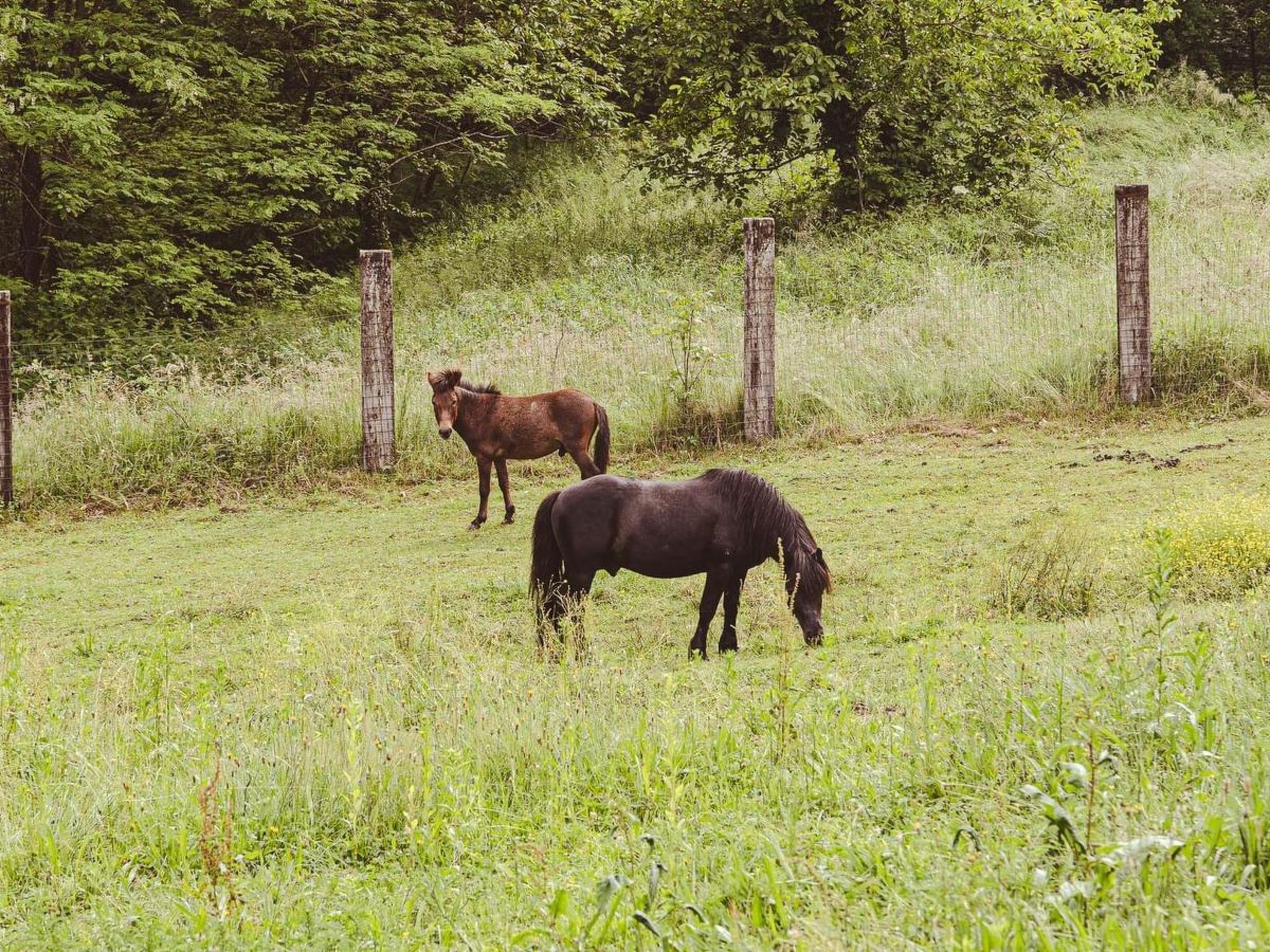 House Ranch Corral - Image-tags.info