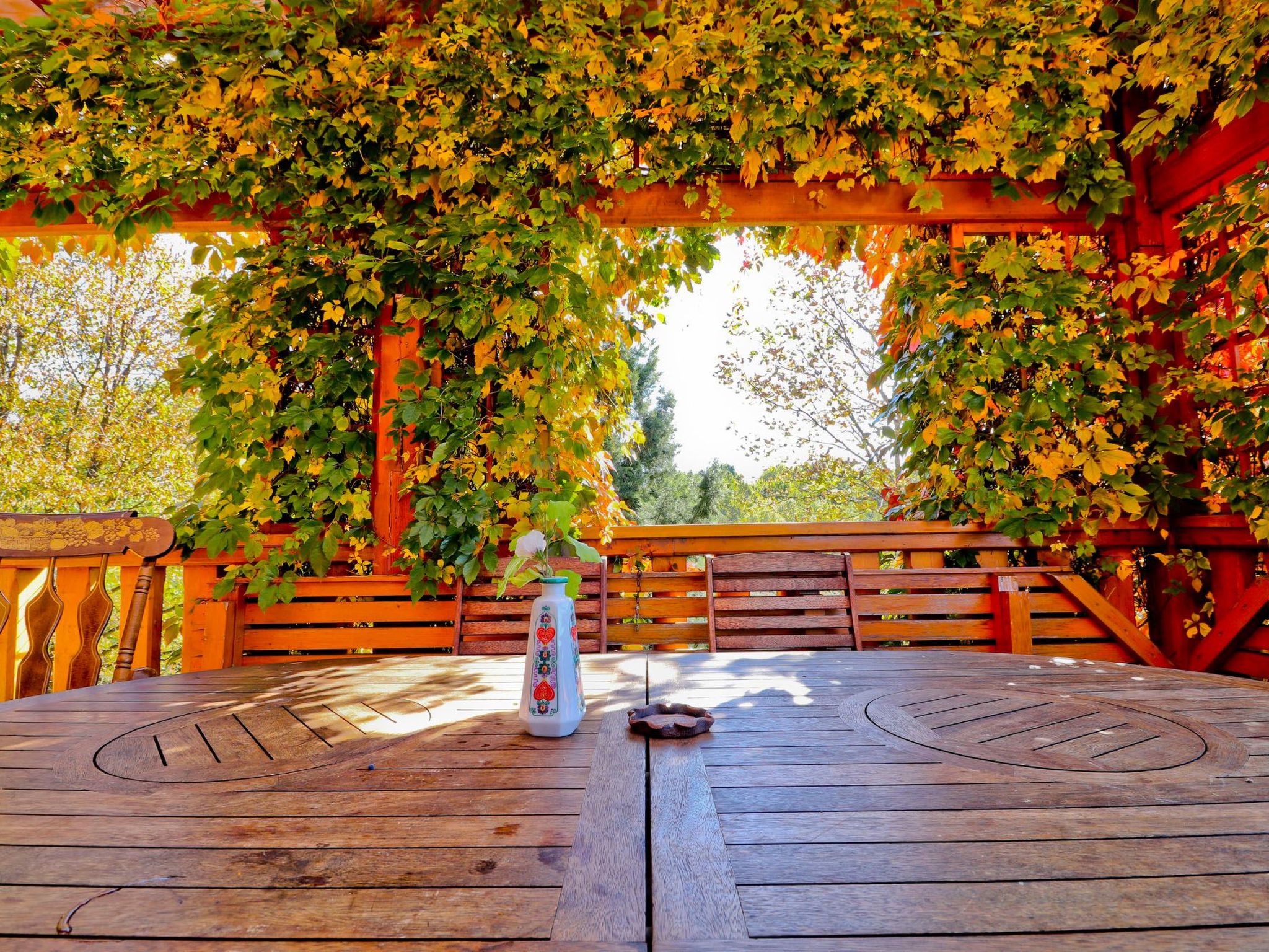 Ferienvilla "Ferienhaus Grga" — Terrace (5 of 19)