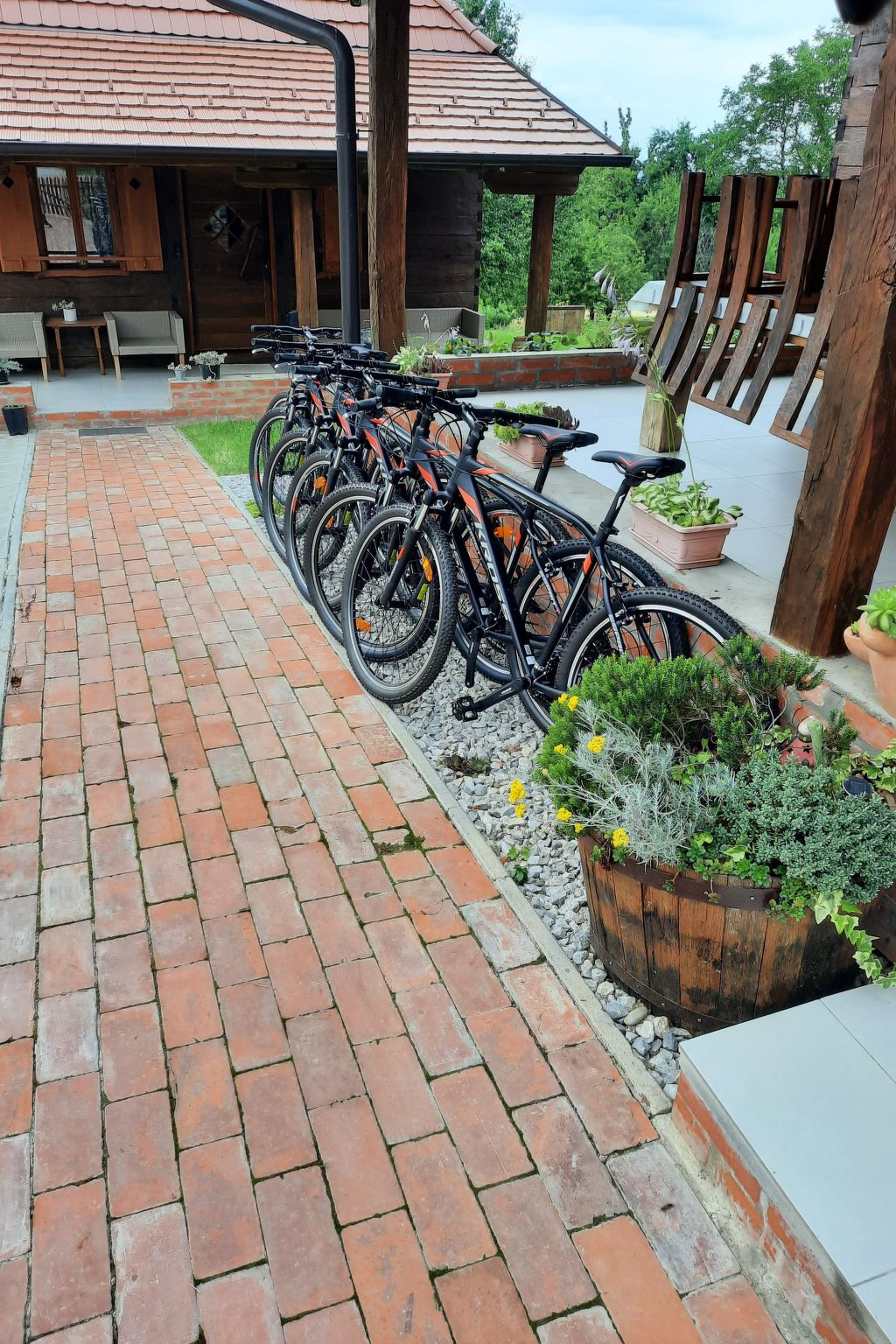 Ruim vakantiehuis voor 9 personen met grote tuin in Lopatinec - foto 21