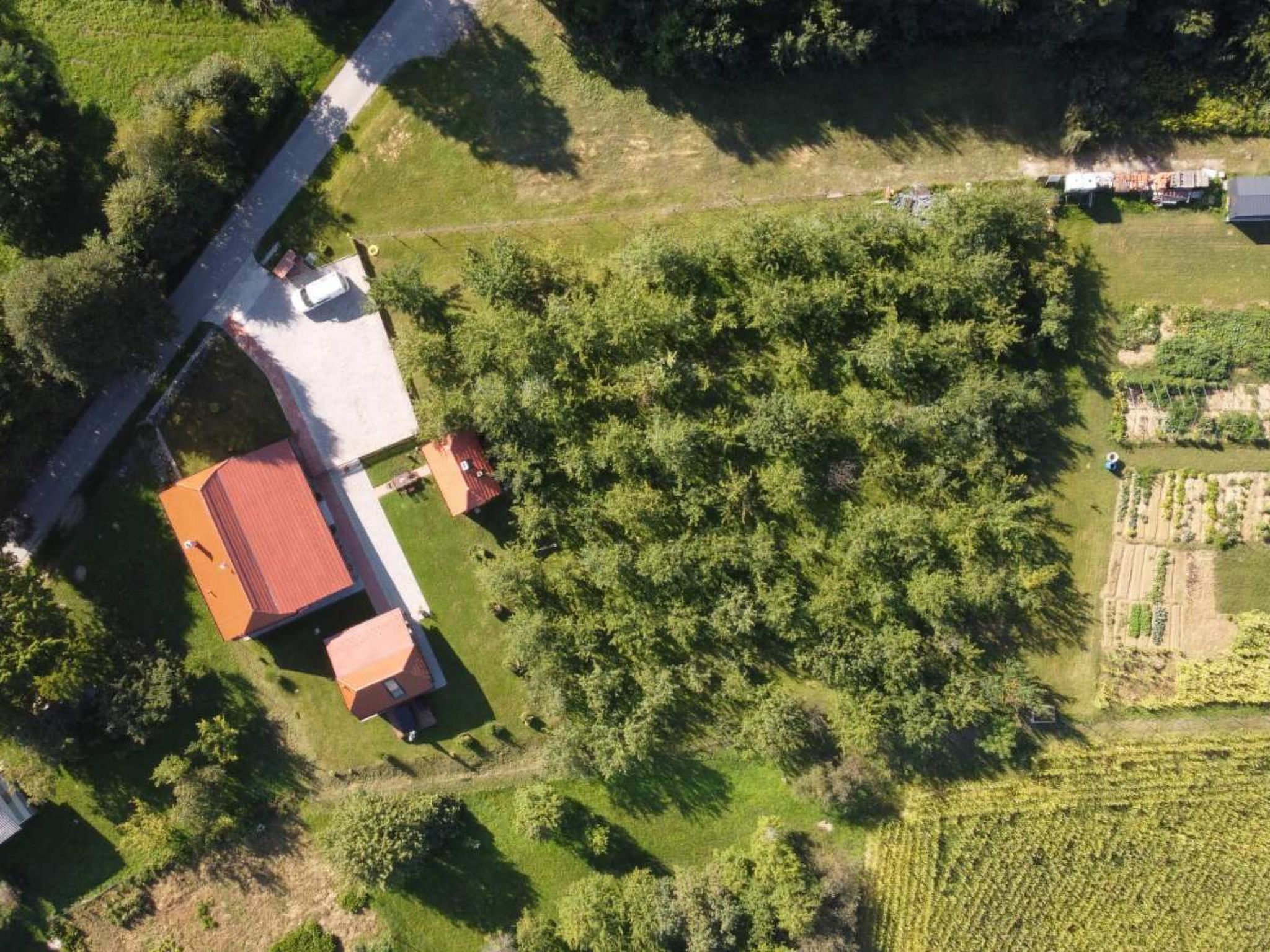 Ruim vakantiehuis voor 9 personen met grote tuin in Lopatinec - foto 26