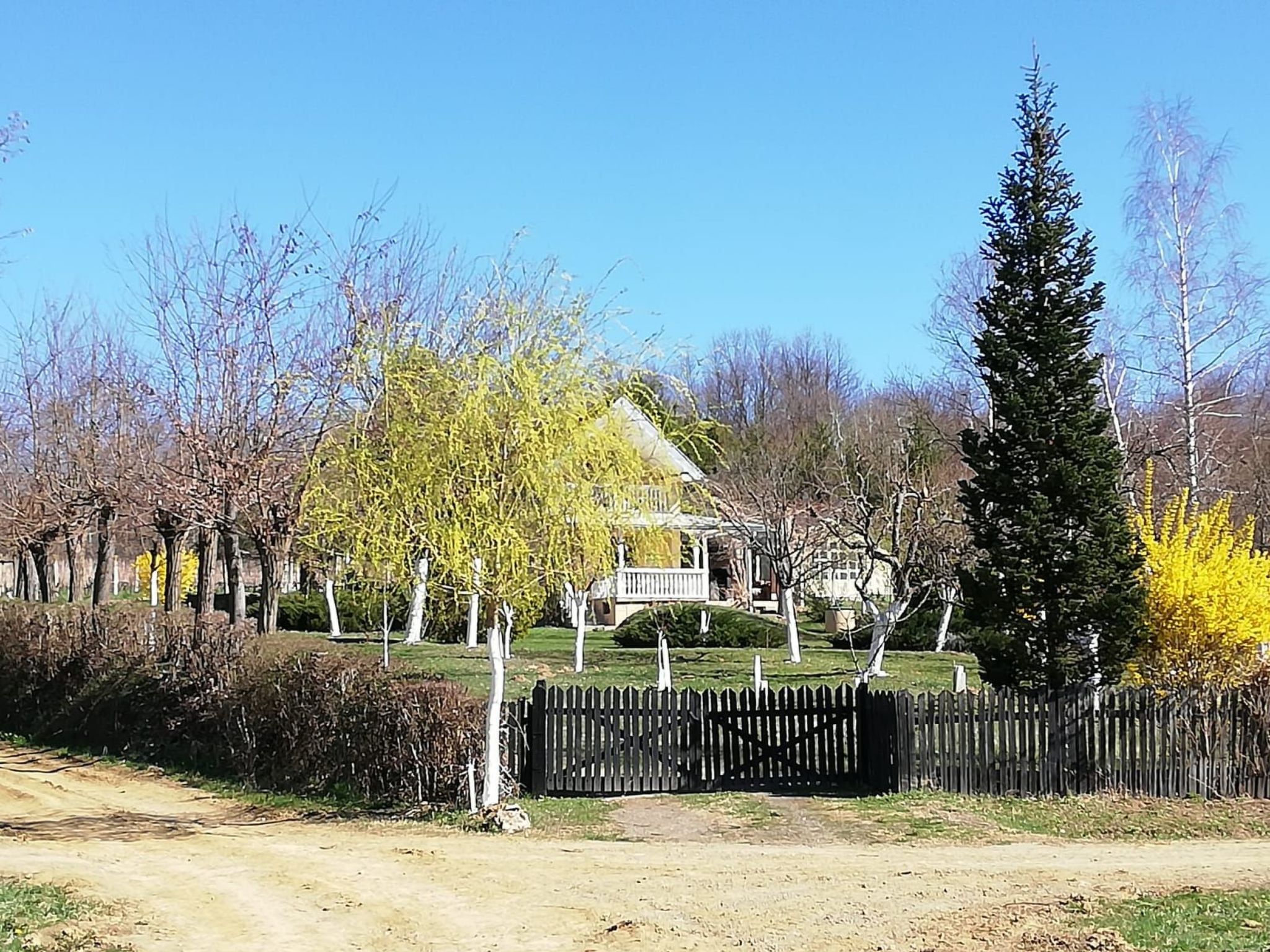 Hütte mit Garten, Grill und Terrasse-Image-tags.info