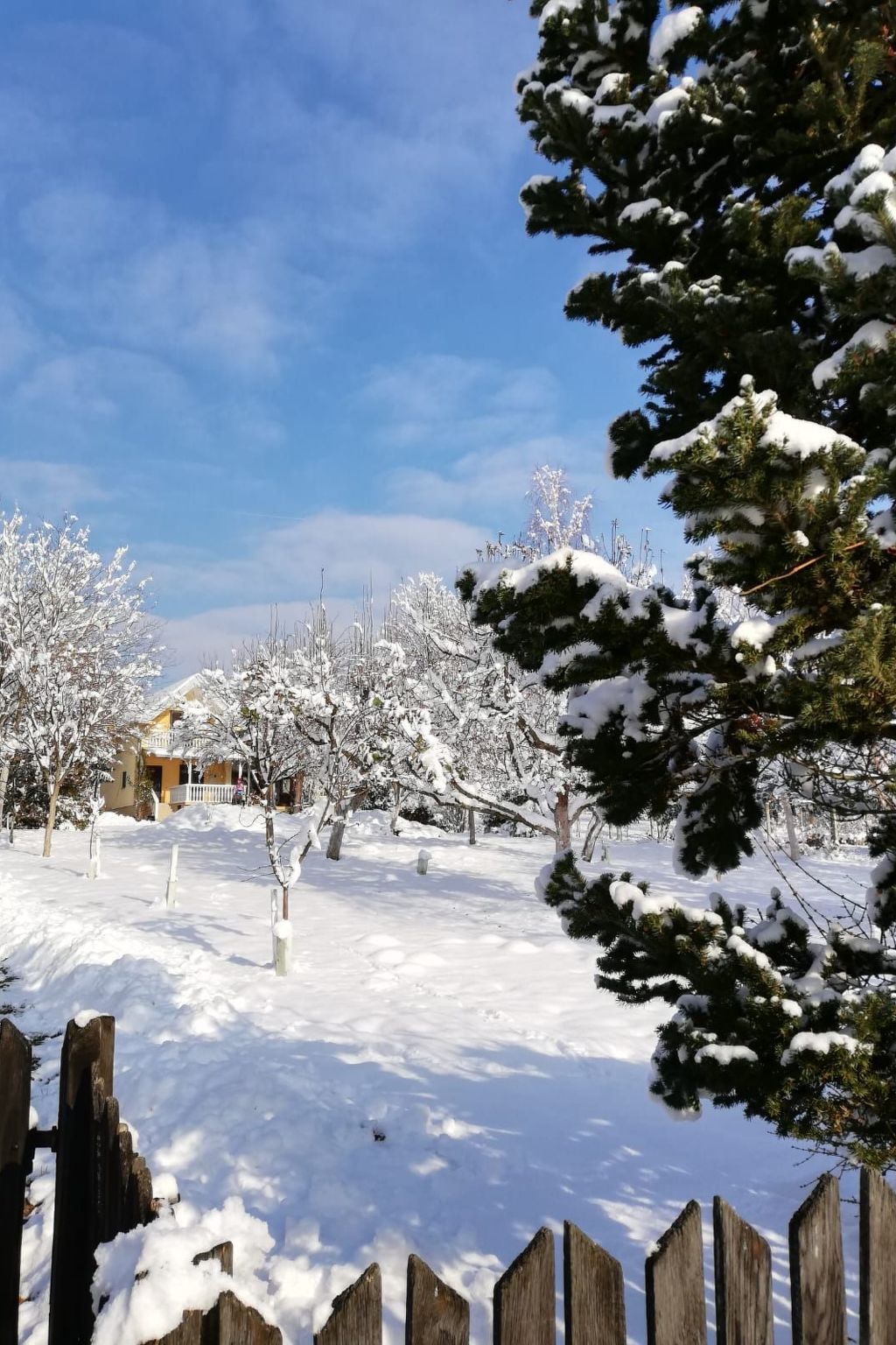 Hütte mit Garten, Grill und Terrasse-Image-tags.info