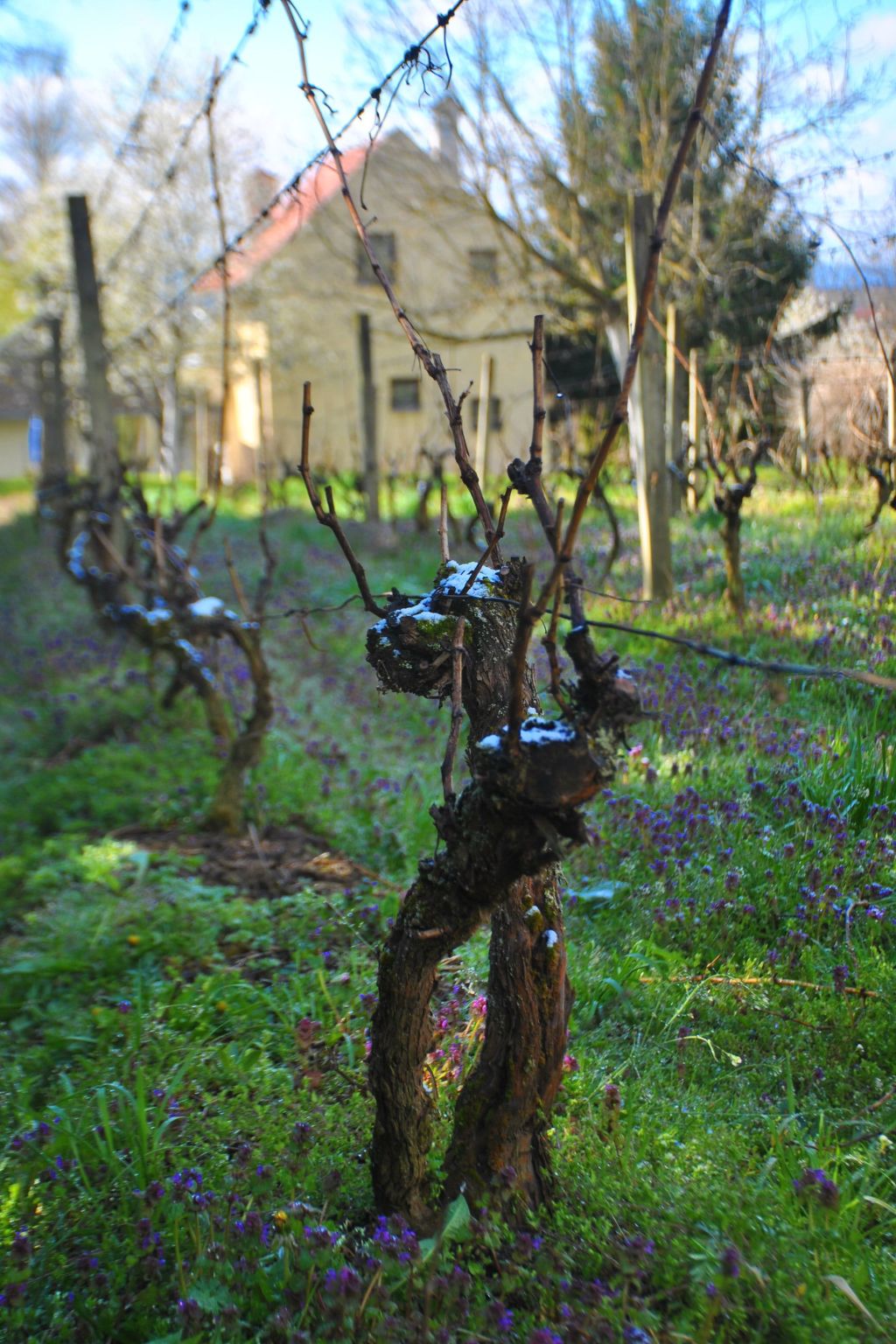 Hütte mit Garten, Grill und Terrasse-Outside