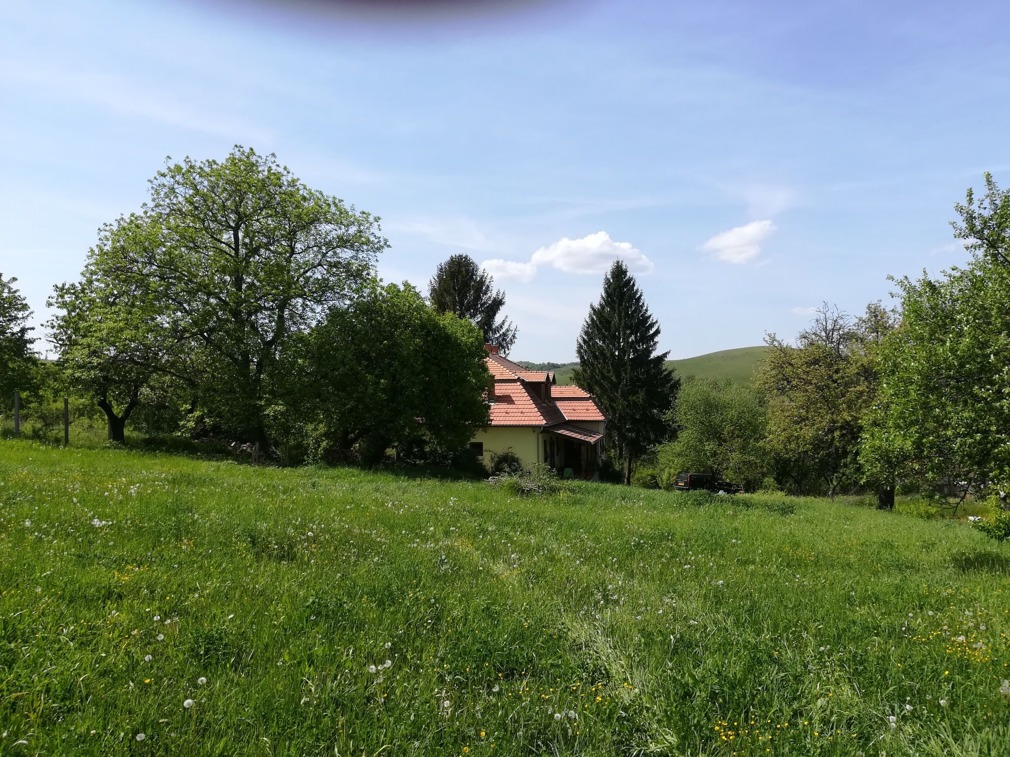 Mit biologischem Schwimmteich-Drinnen