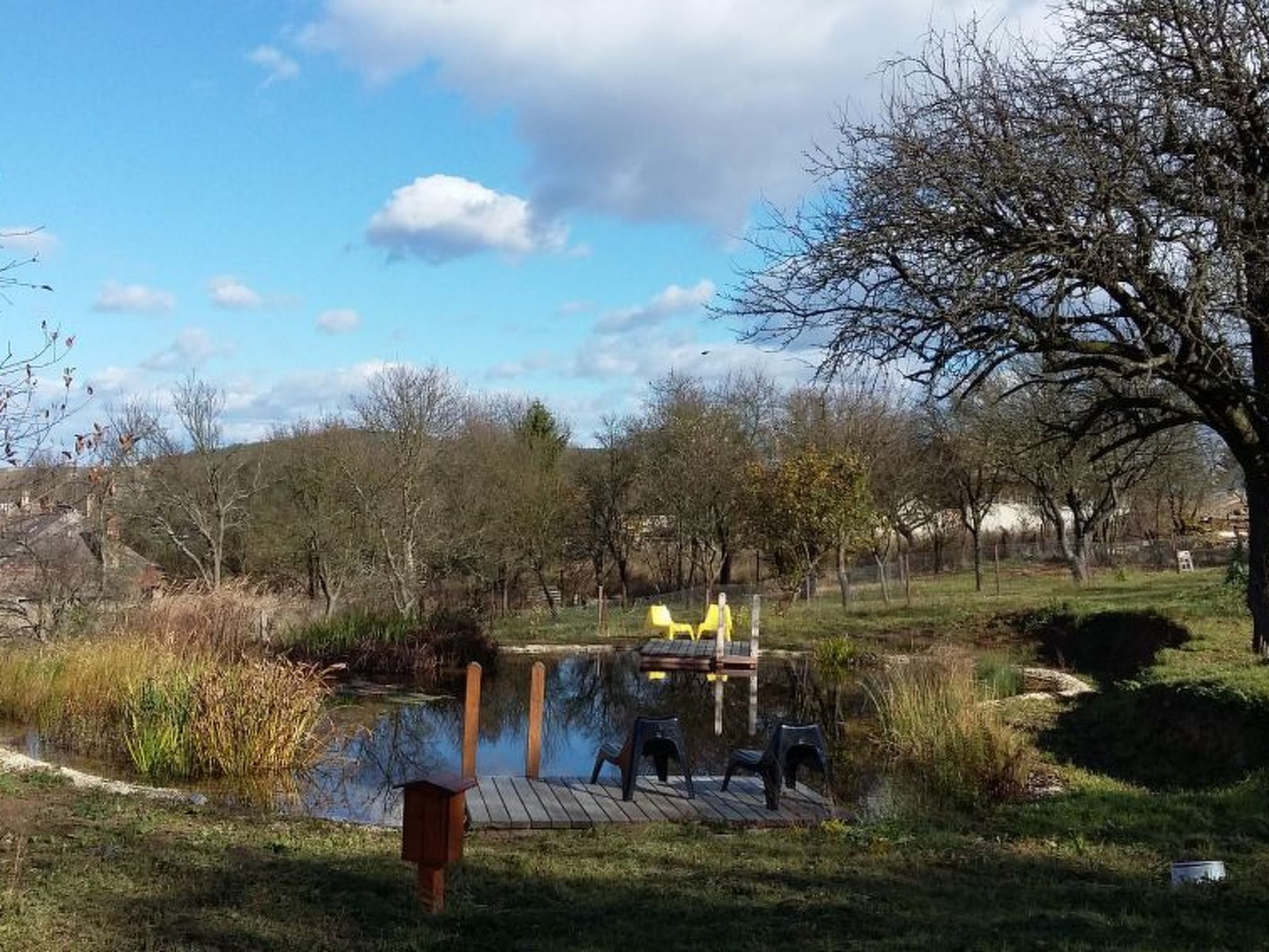 Mit biologischem Schwimmteich-Drinnen
