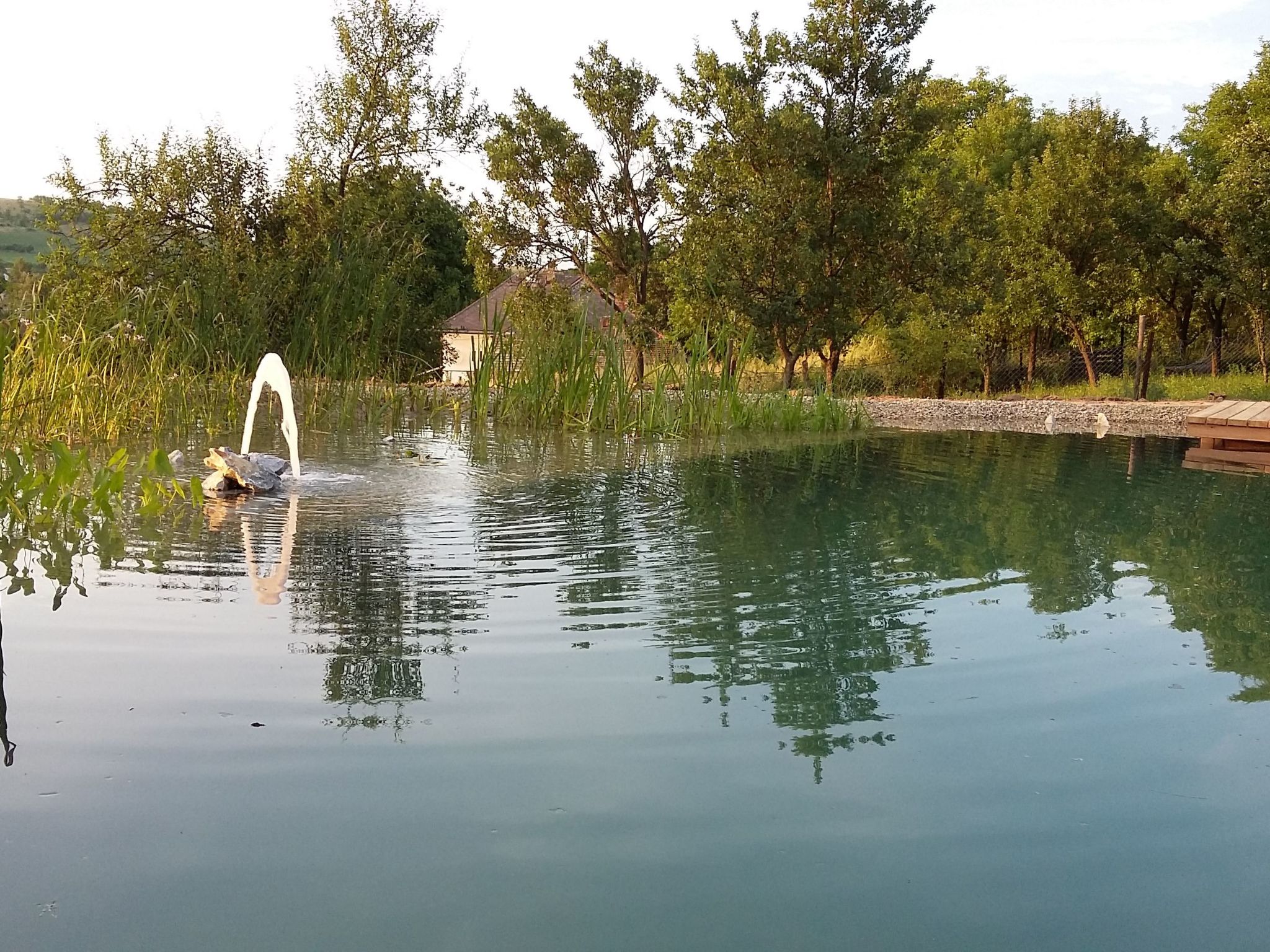 Mit biologischem Schwimmteich-Drinnen