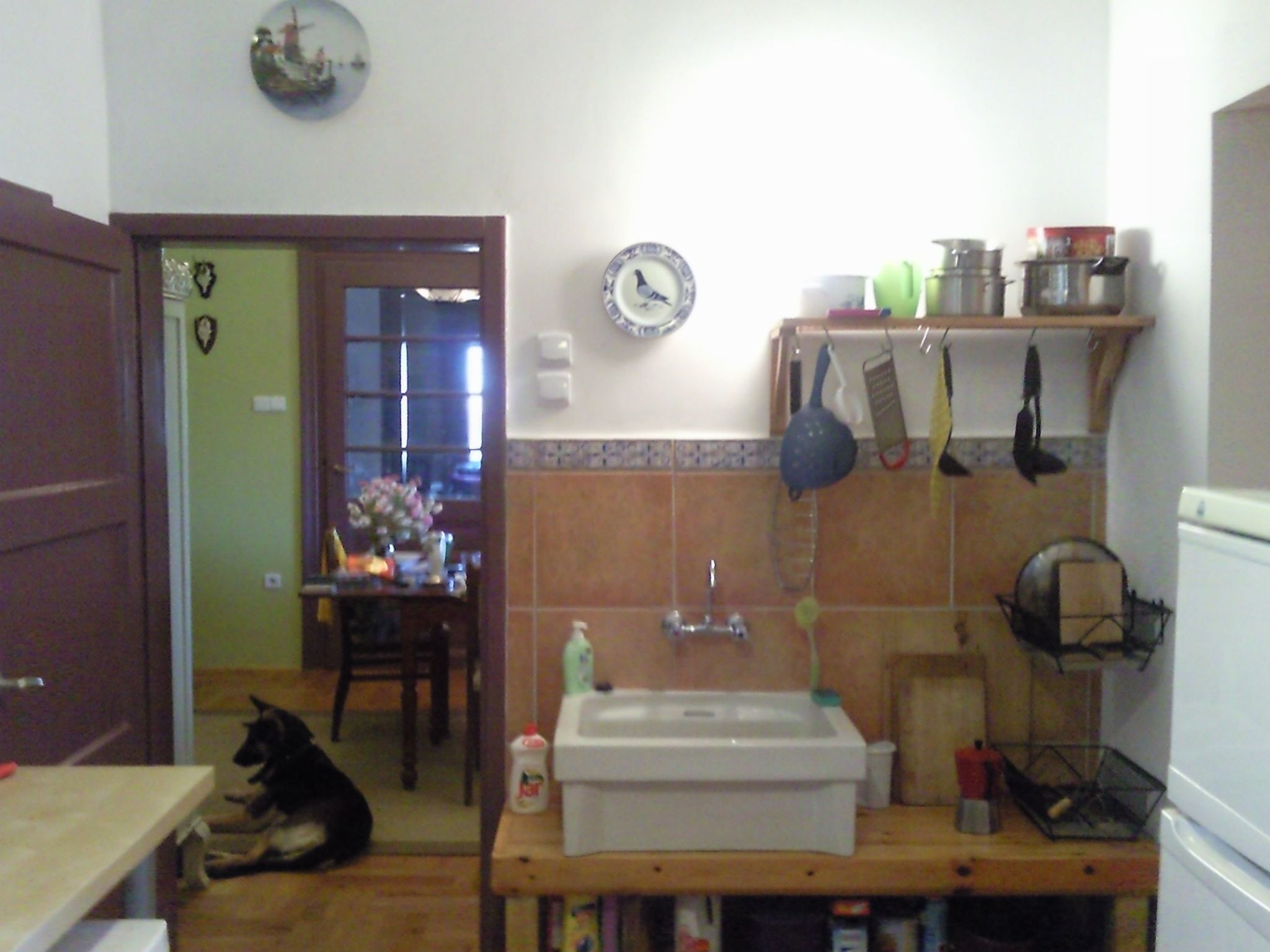 Mit biologischem Schwimmteich-Drinnen