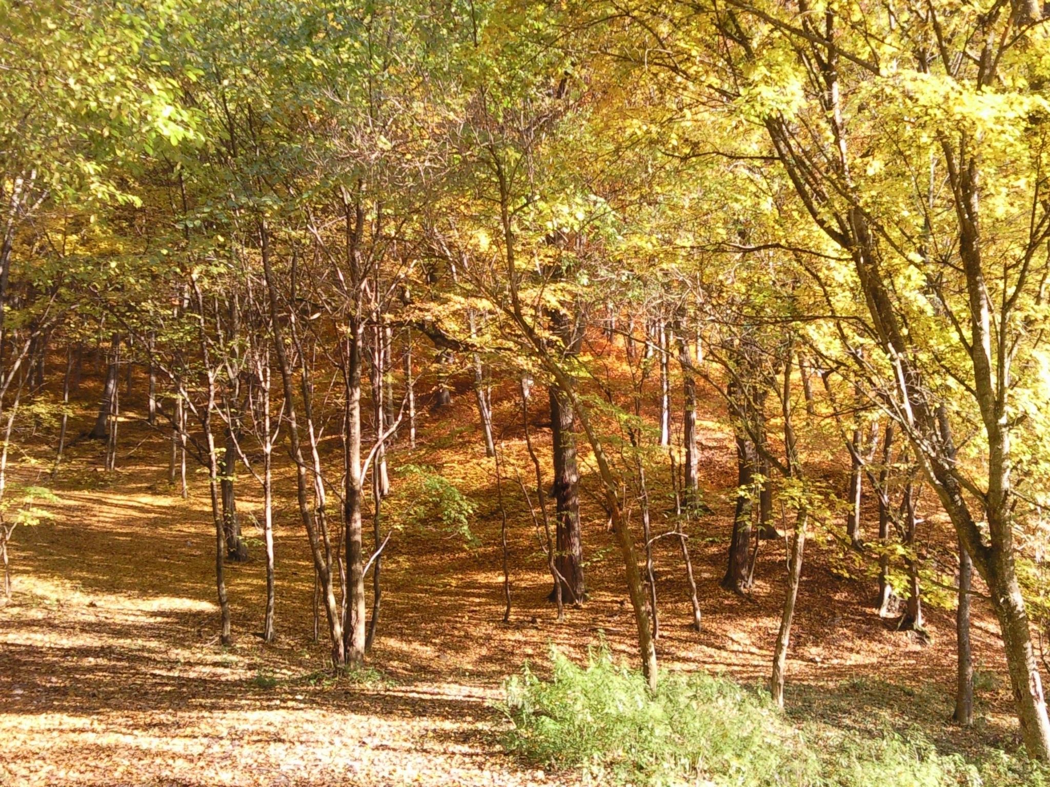 Mit biologischem Schwimmteich-Drinnen