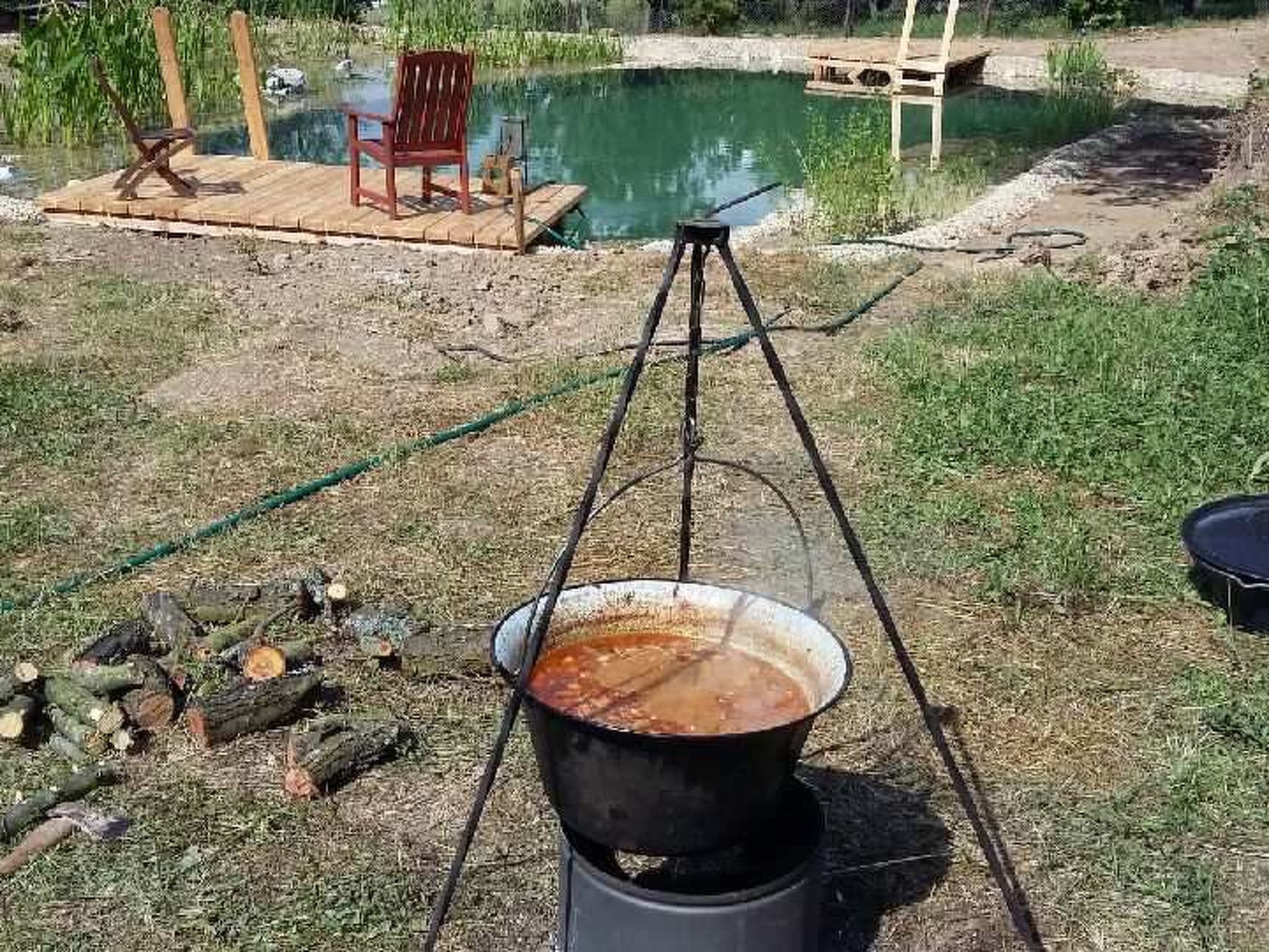 Mit biologischem Schwimmteich-Drinnen