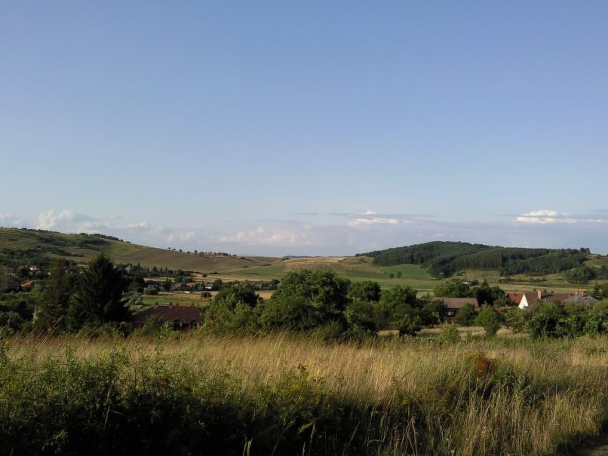Mit biologischem Schwimmteich-Drinnen