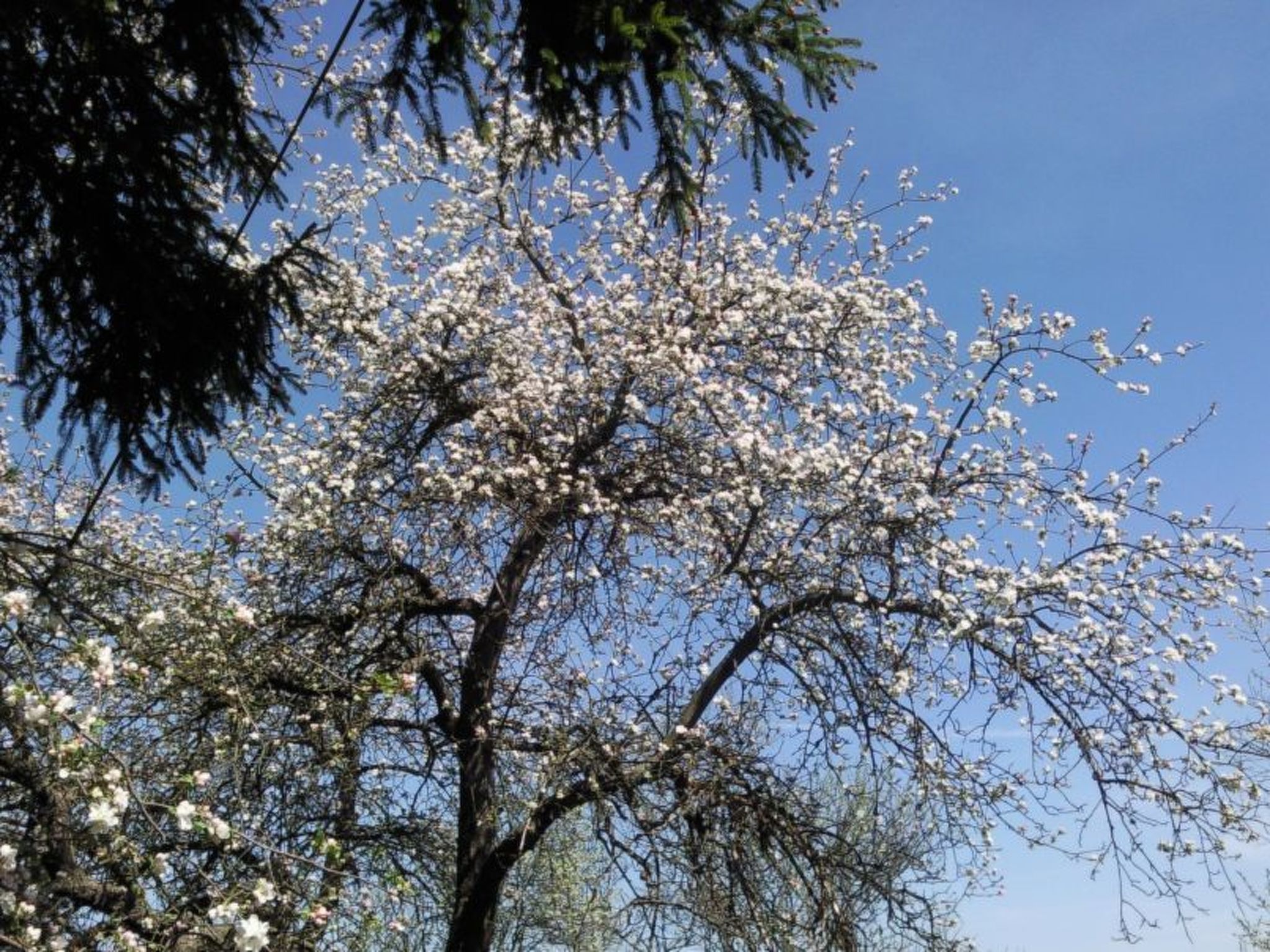 Mit biologischem Schwimmteich-Drinnen