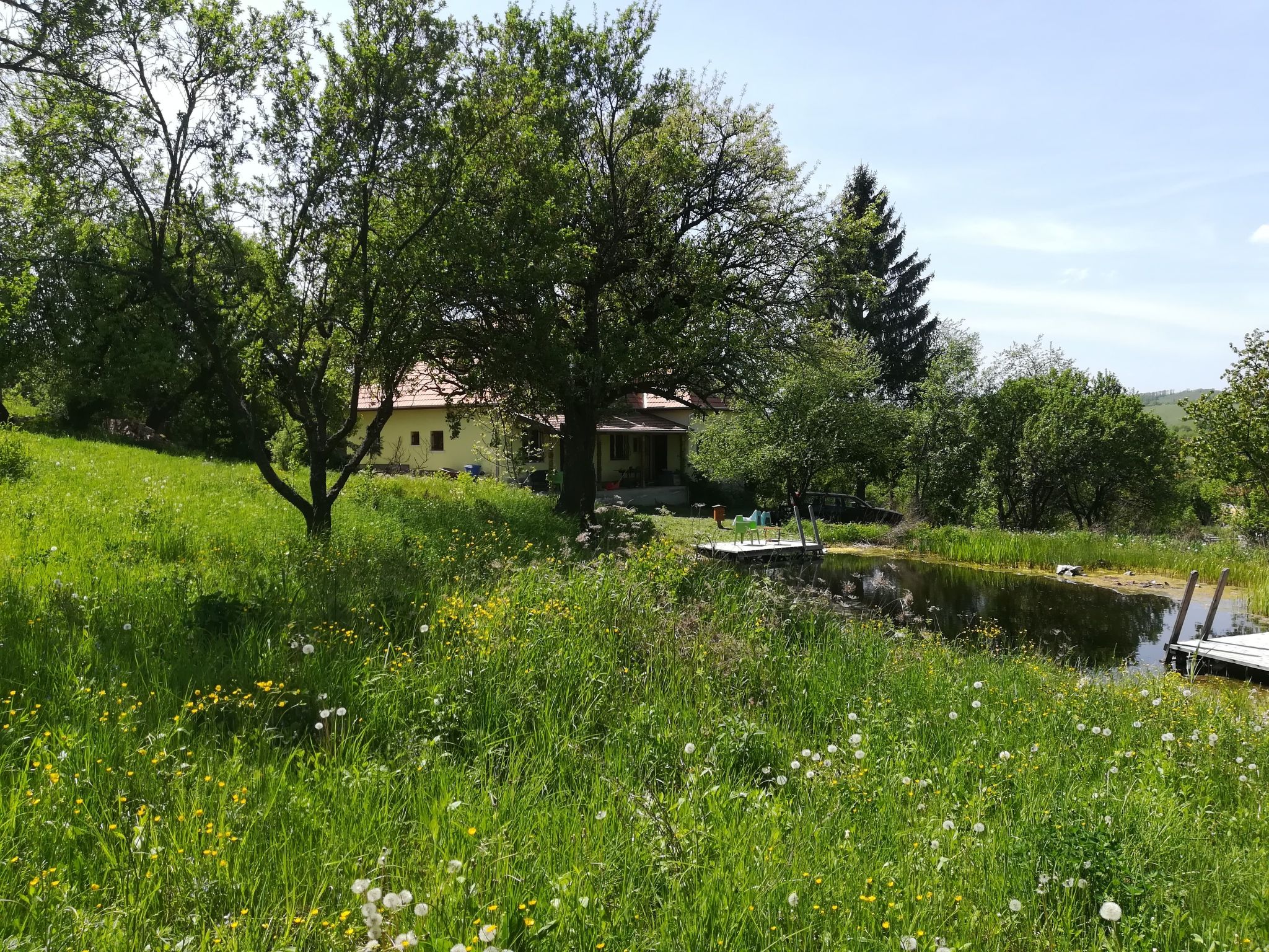 Mit biologischem Schwimmteich-Drinnen