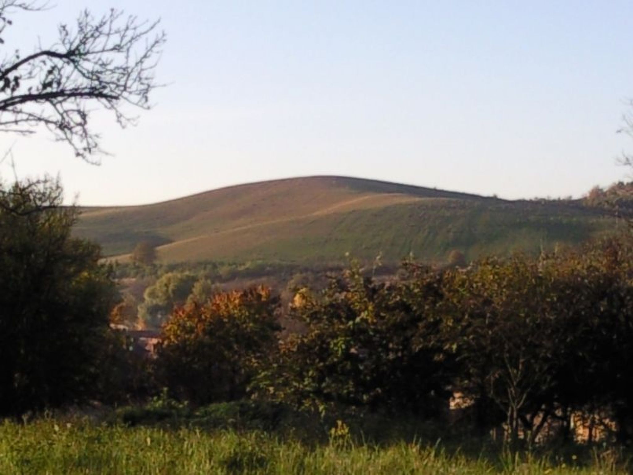 Mit biologischem Schwimmteich-Drinnen