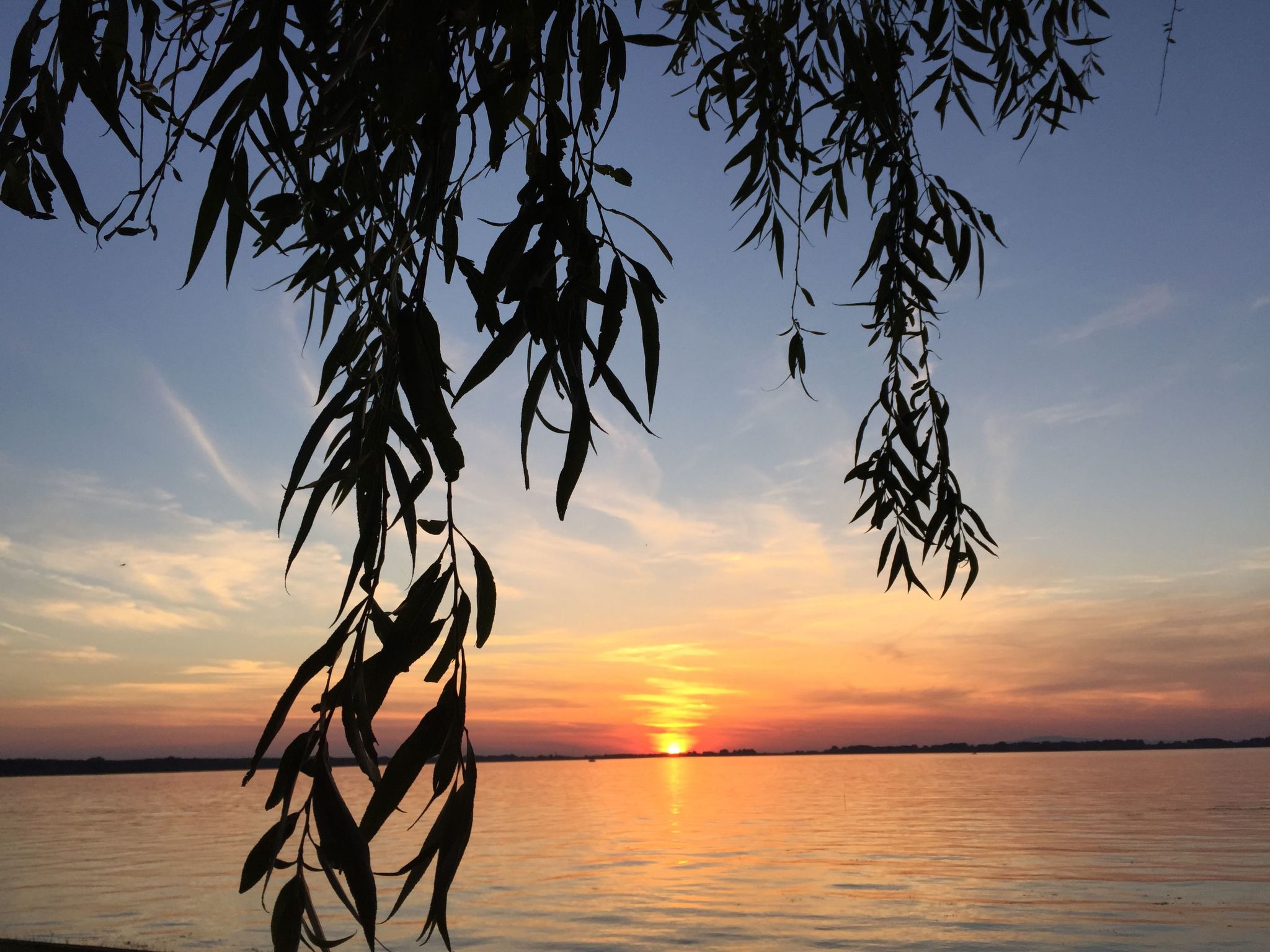 Hütte mit Garten, Grill und Terrasse-Dehors