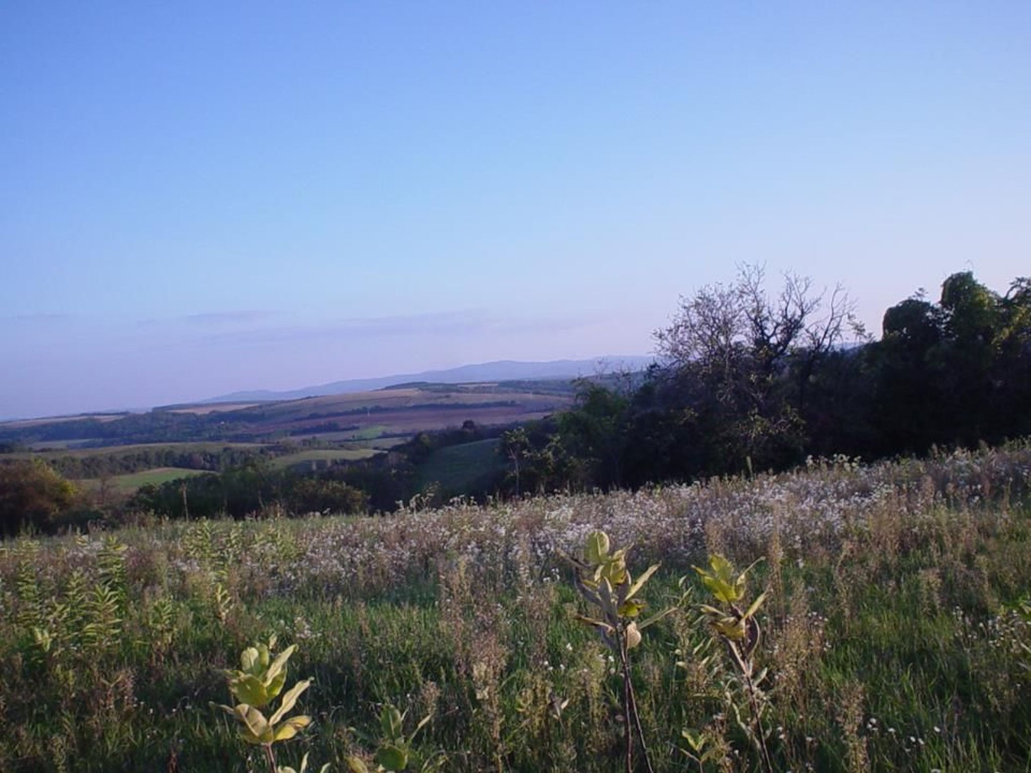 Maison de vacances Legedi Ház *****, Mekényes