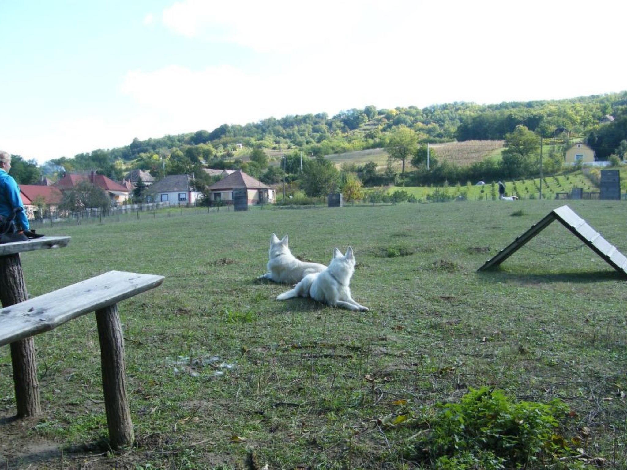 In Döbrököz mit privatem Pool-Image-tags.info