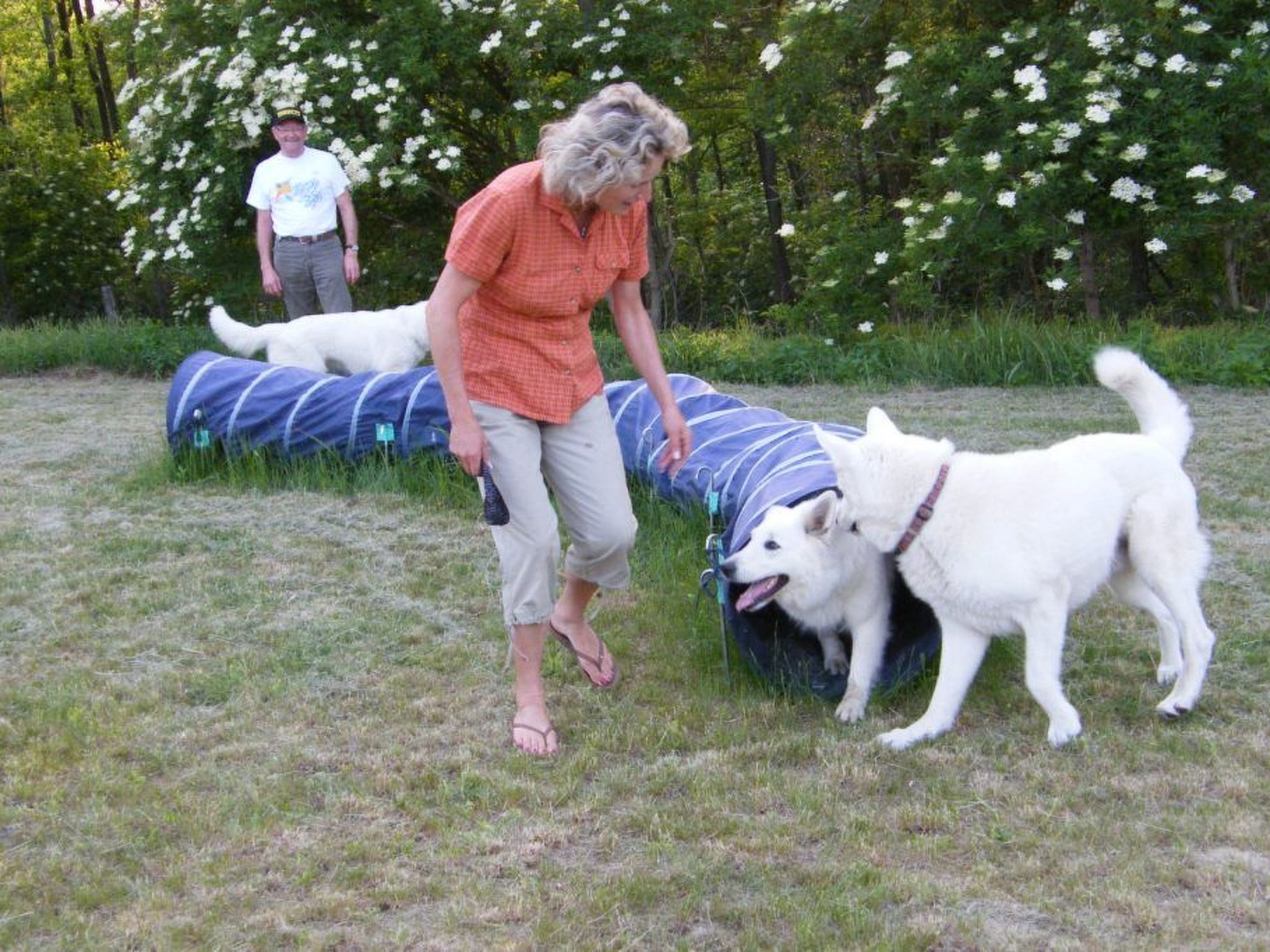 In Döbrököz mit privatem Pool-Image-tags.info