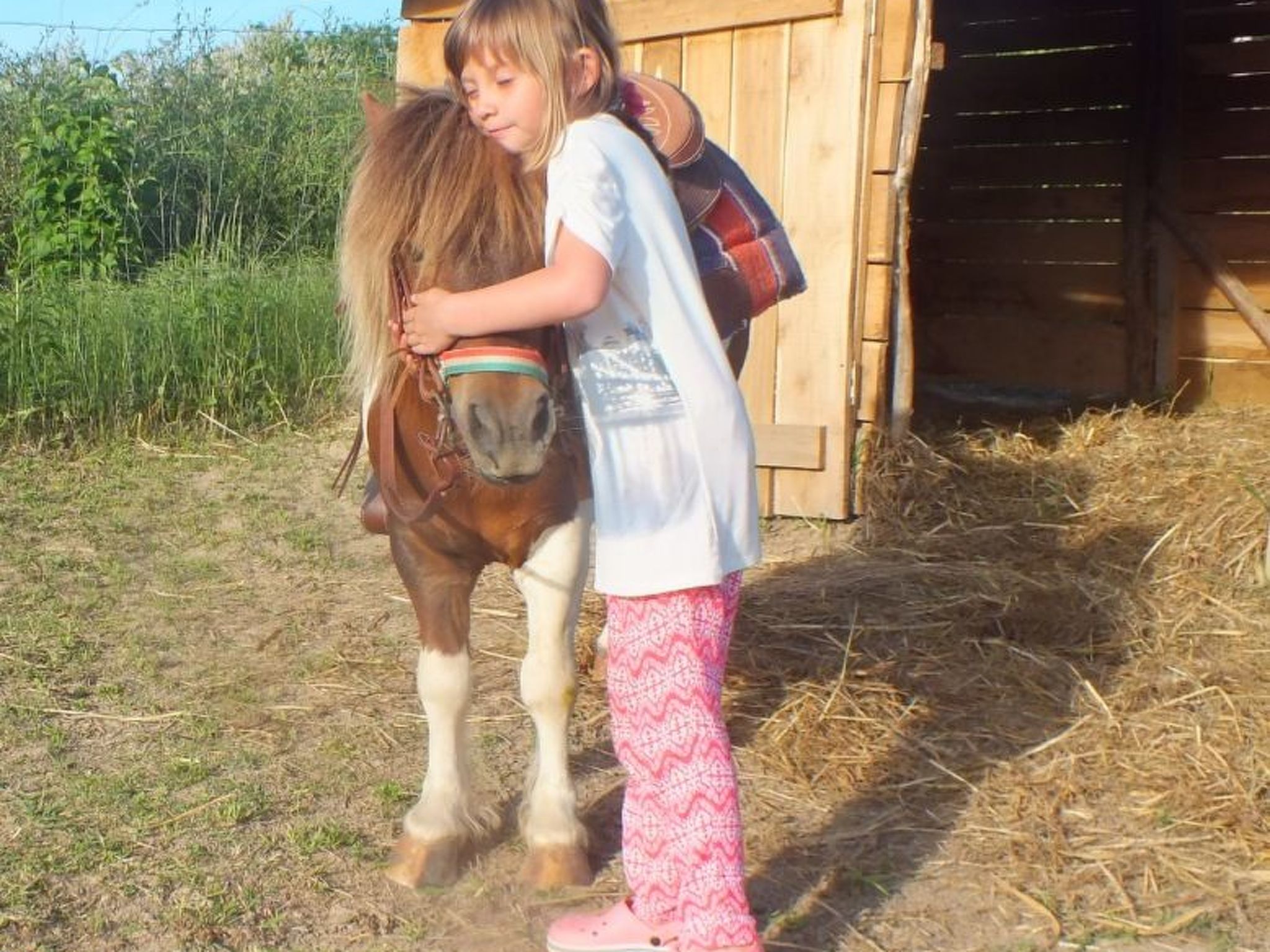 In Döbrököz mit privatem Pool-Image-tags.info