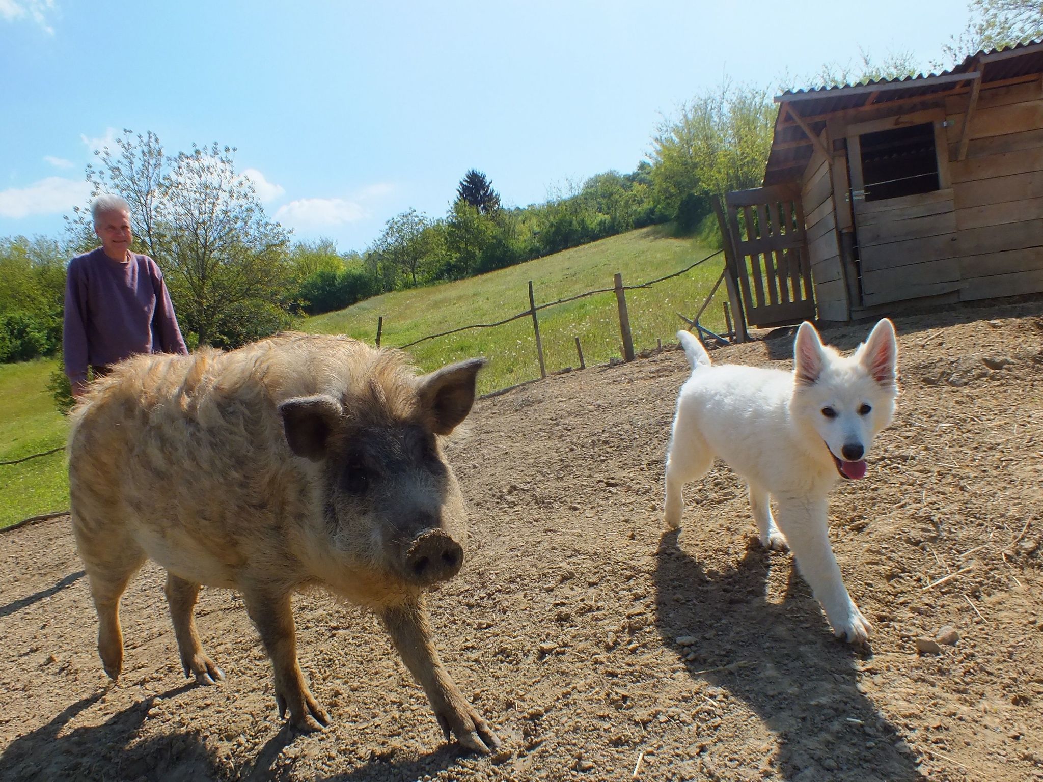 In Döbrököz mit privatem Pool-Image-tags.info
