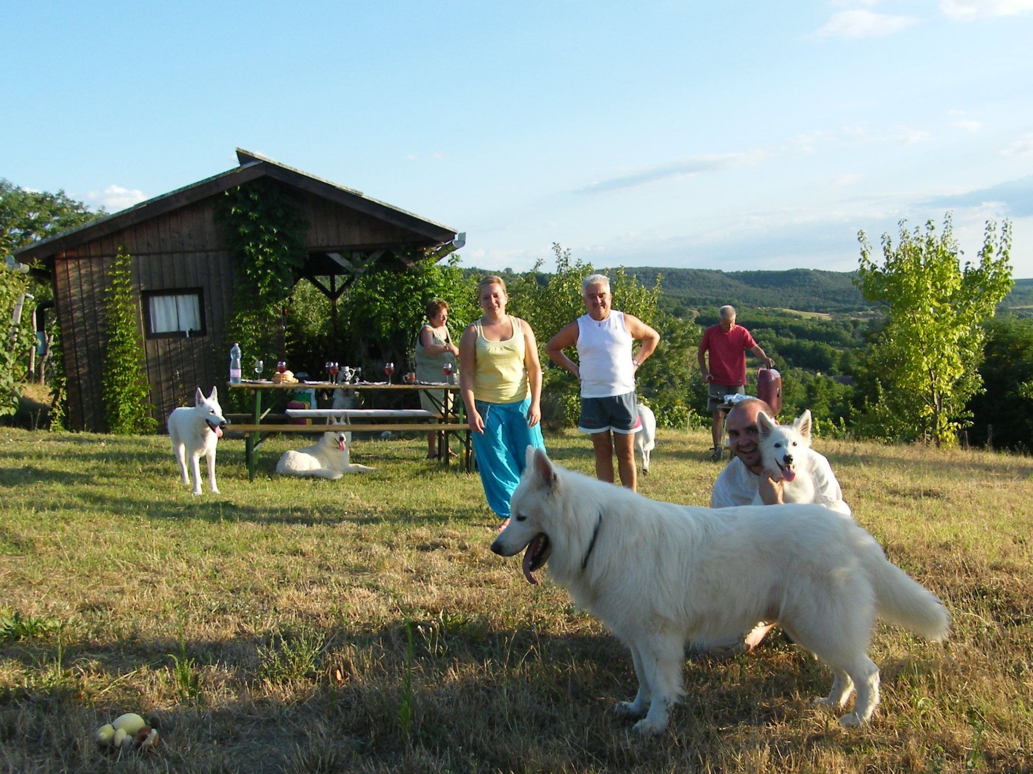 In Döbrököz mit privatem Pool-Image-tags.info