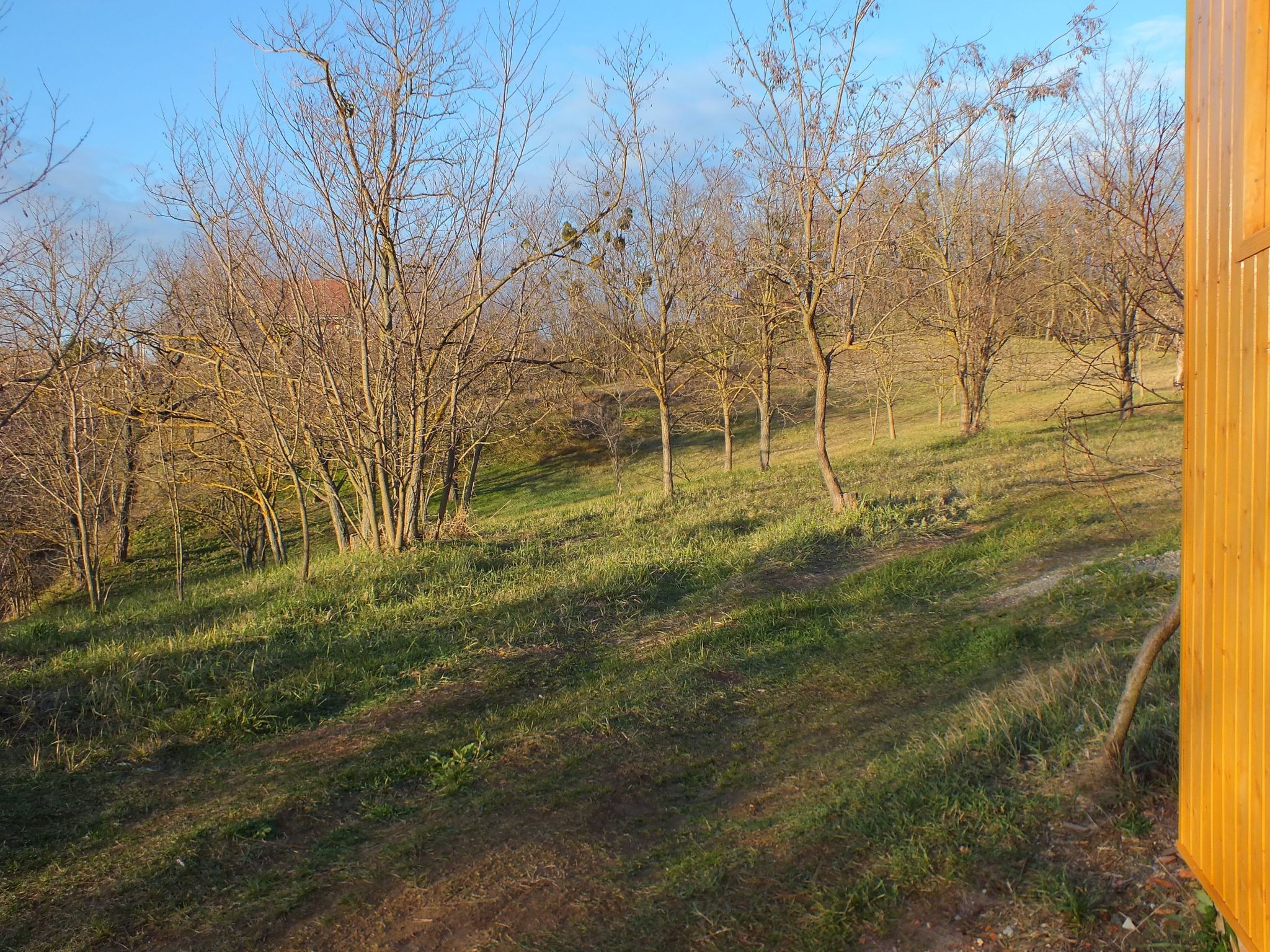 Müllers Ferienhaus Weinbergalm zum Wohlfühlen-Image-tags.info