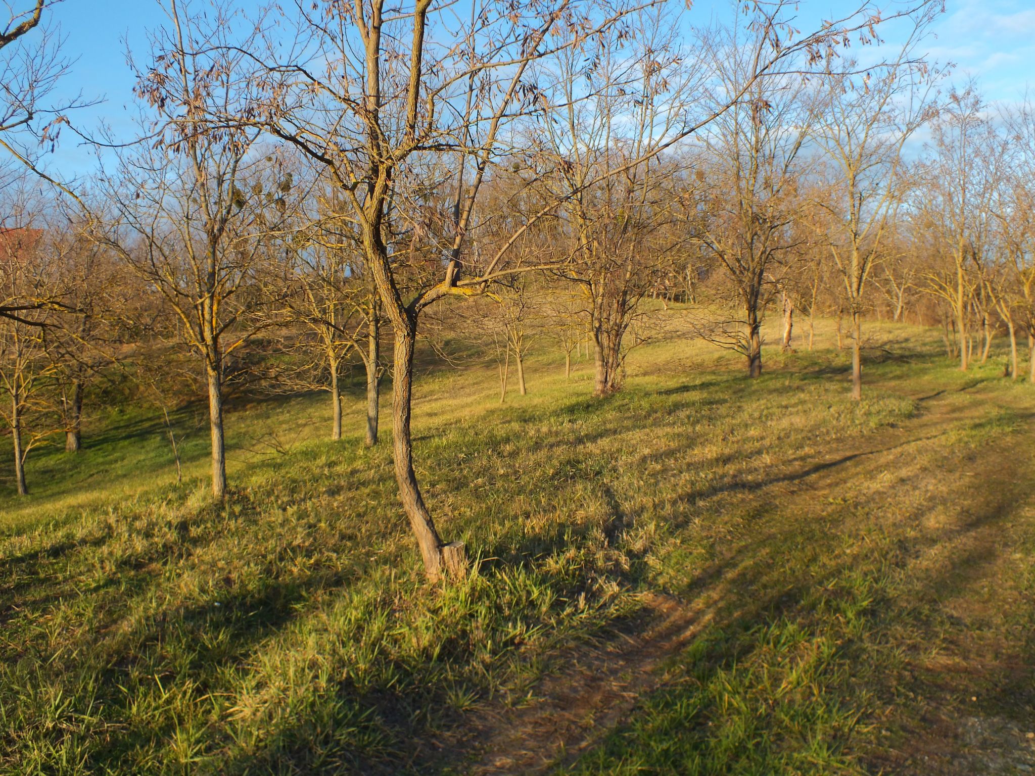 Müllers Ferienhaus Weinbergalm zum Wohlfühlen-Image-tags.info