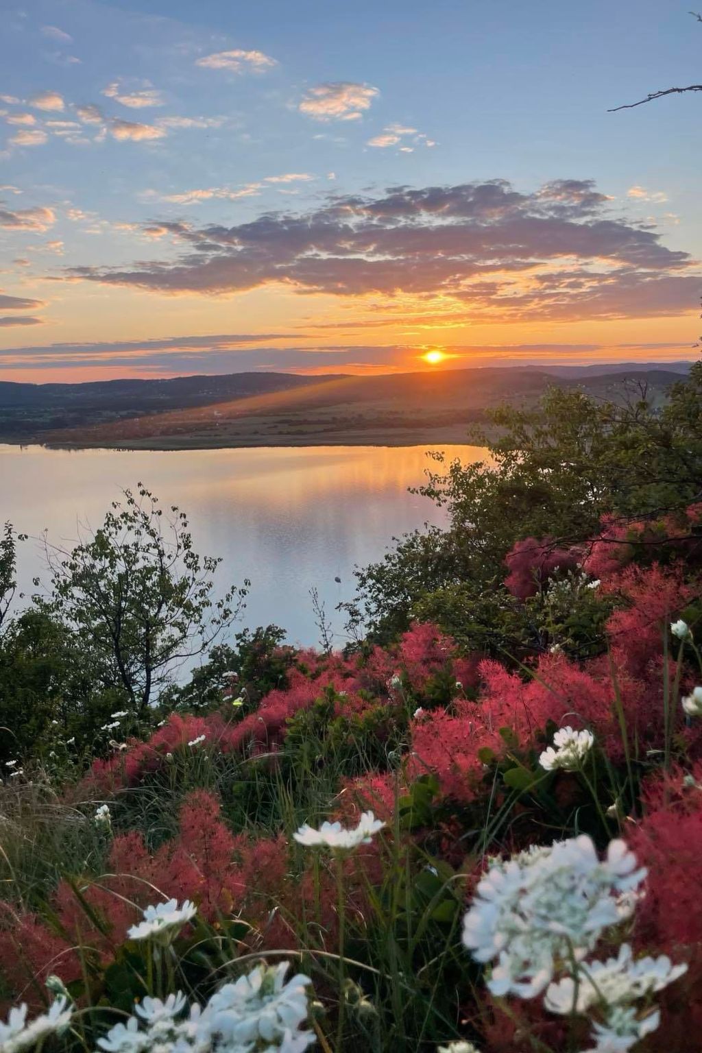 Ferienwohnung-Binnen