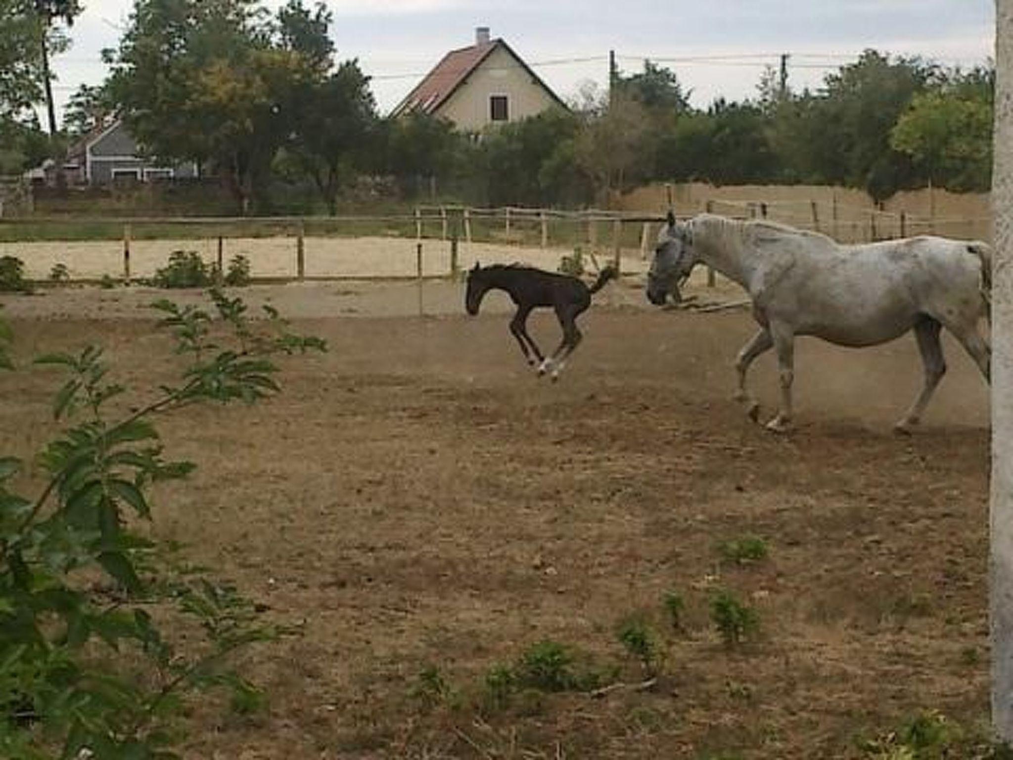 Hétkanyar Vendégház-Binnen