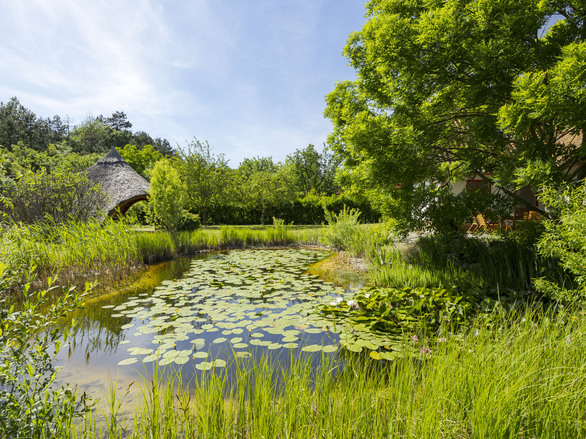 Villa Canela - Dehors