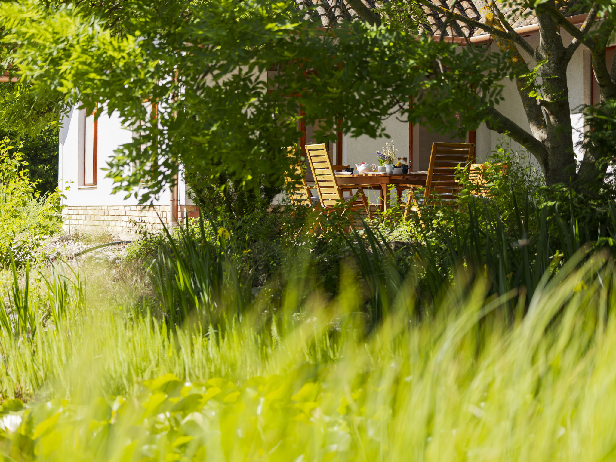 Villa Canela - Dehors