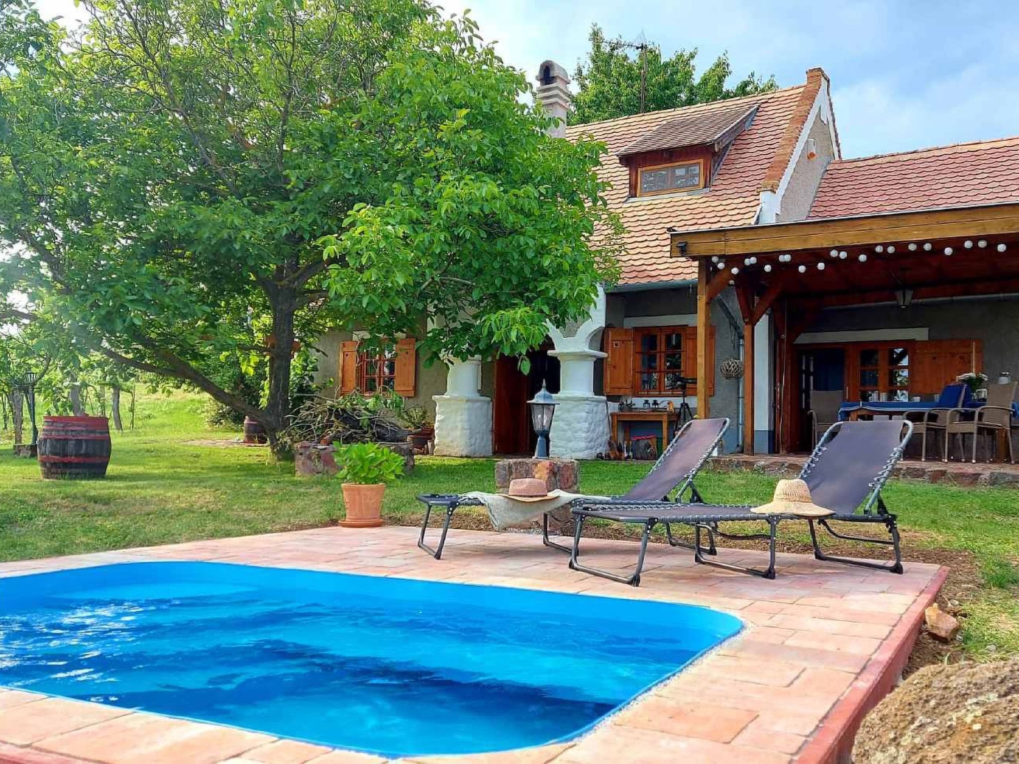 Maximaal 3 huisdieren/honden toegestaan. The former winegrower's house is located in the centre of a vineyard between vines and pastureland. The idyllic tranquillity is not disturbed by any neighbours..