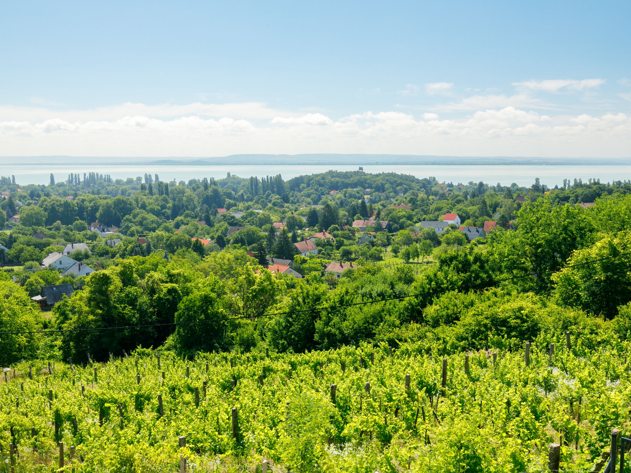 Vrijstaand huis Fokas bij Balatonmeer met tuin en airco - foto 21