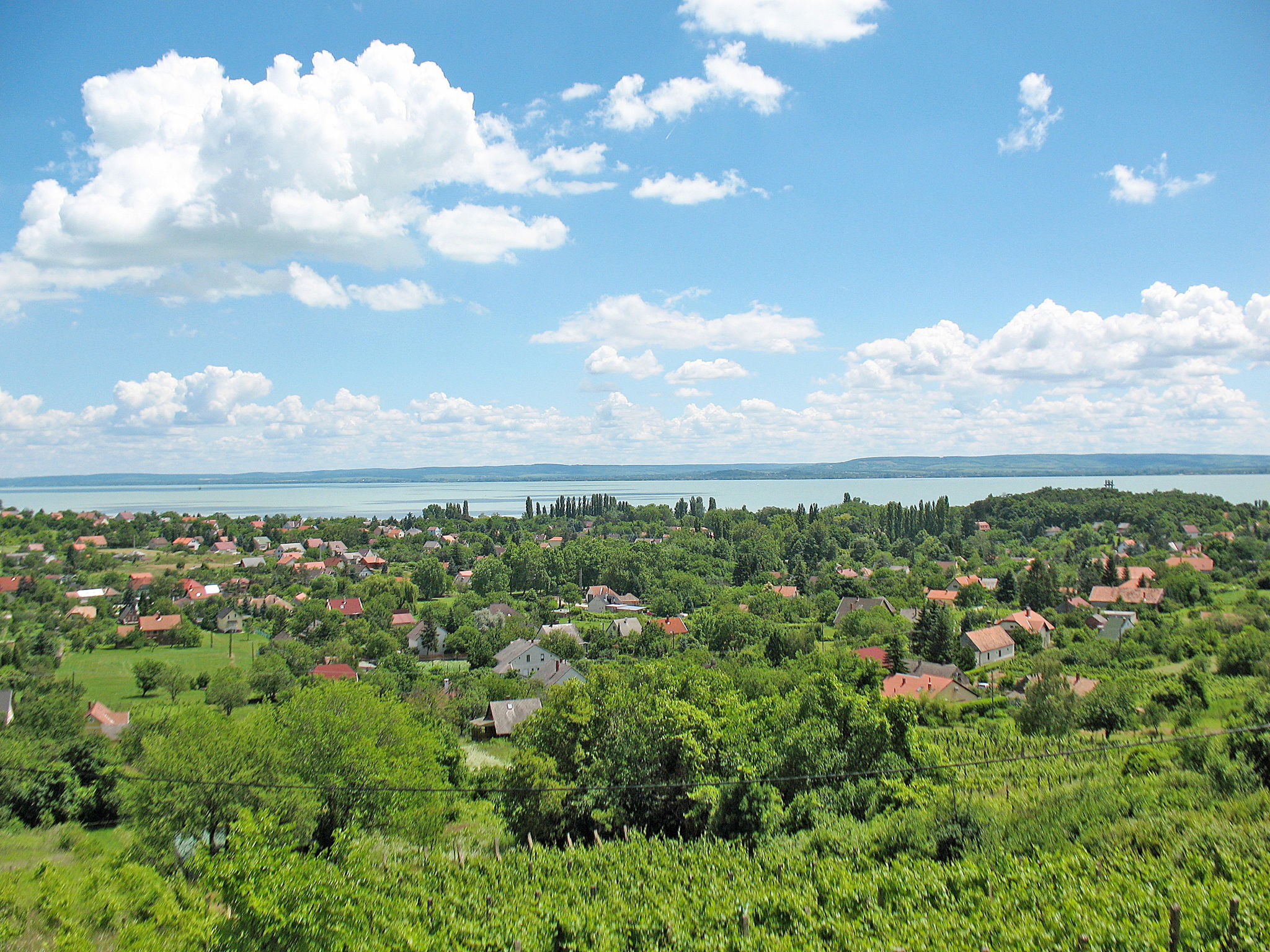 Vrijstaand huis Fokas bij Balatonmeer met tuin en airco - foto 39