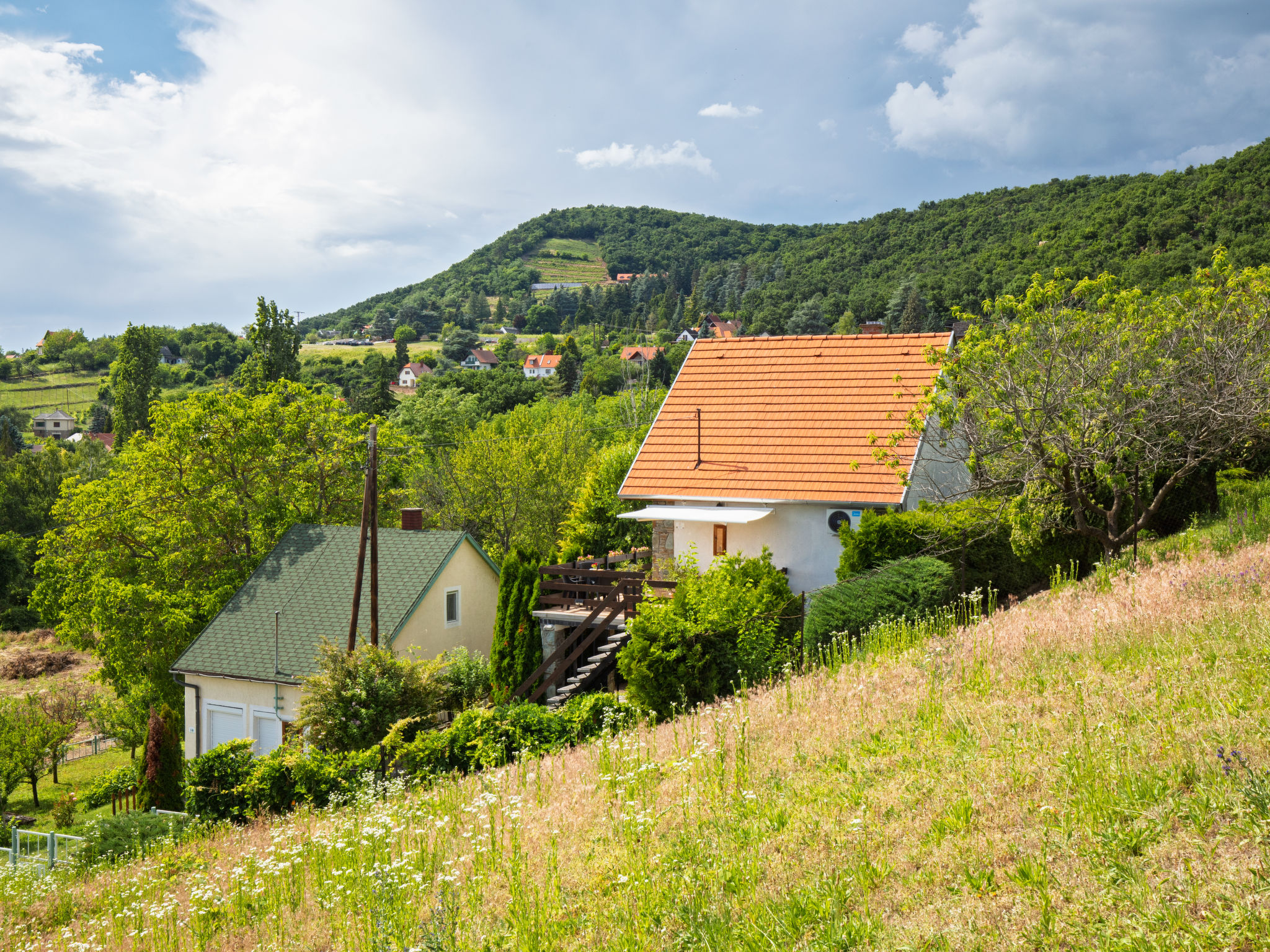Kopacsi-Buiten
