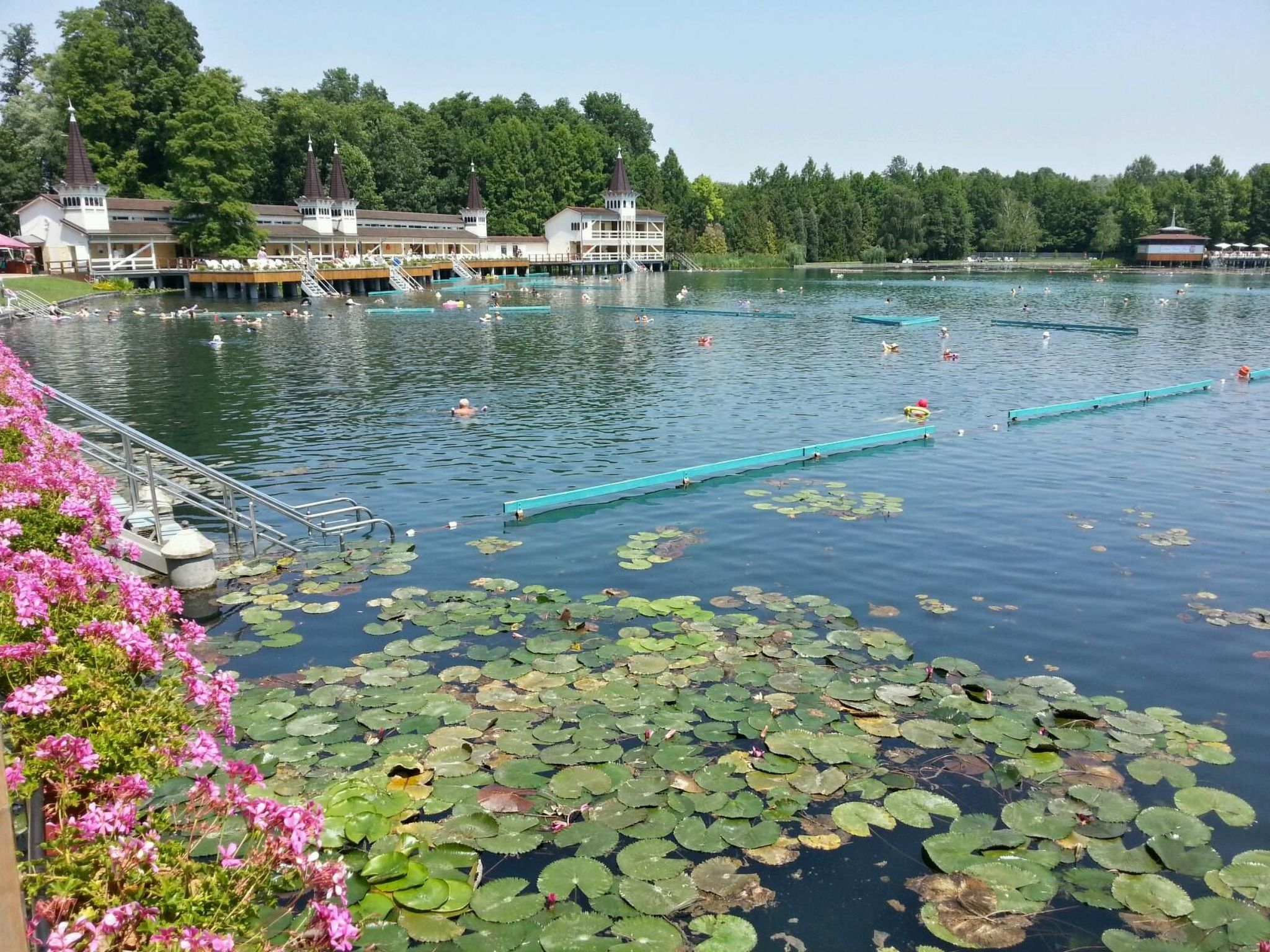 Auf großem Gartengrundstück-Image-tags.info