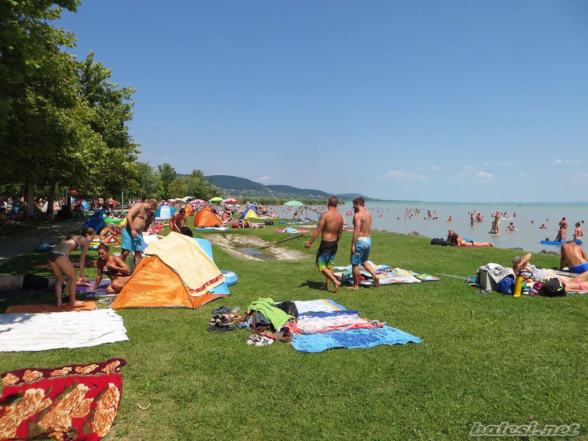 Auf großem Gartengrundstück-Image-tags.info