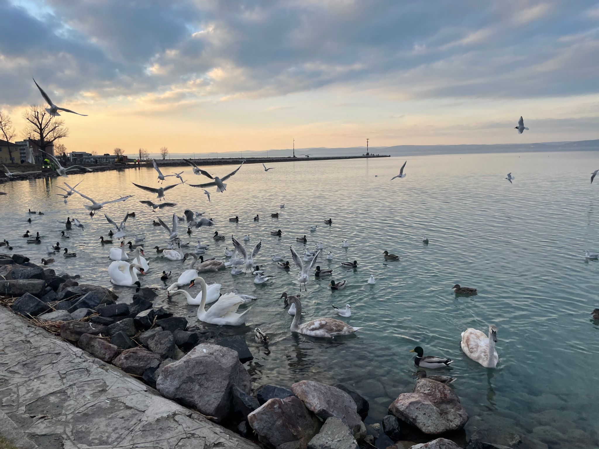 Dorina Wellness in Siofok-Binnen