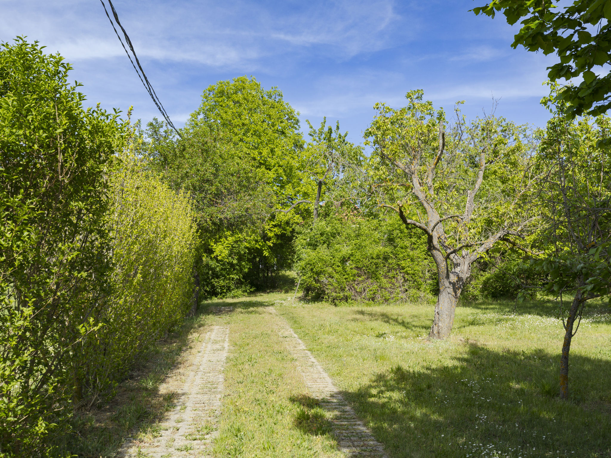 Öreghegy Kis Ház - Buiten