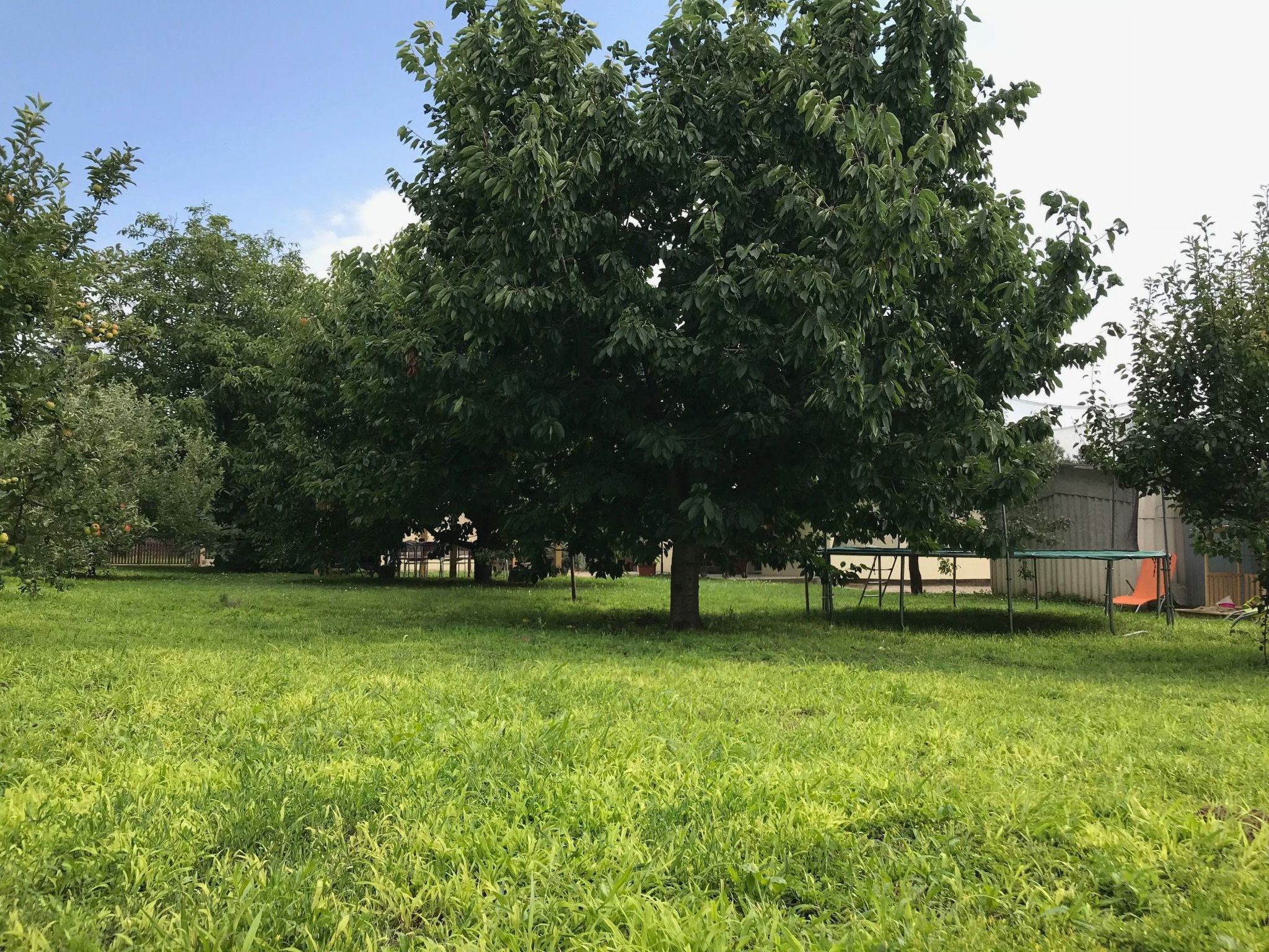 Hungarium am Platte-Binnen