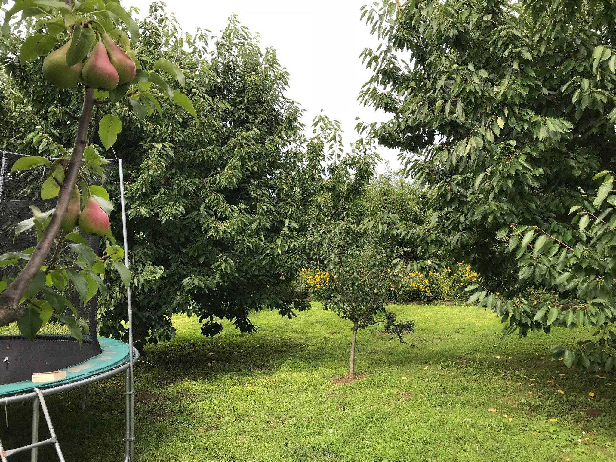 Hungarium am Platte-Binnen