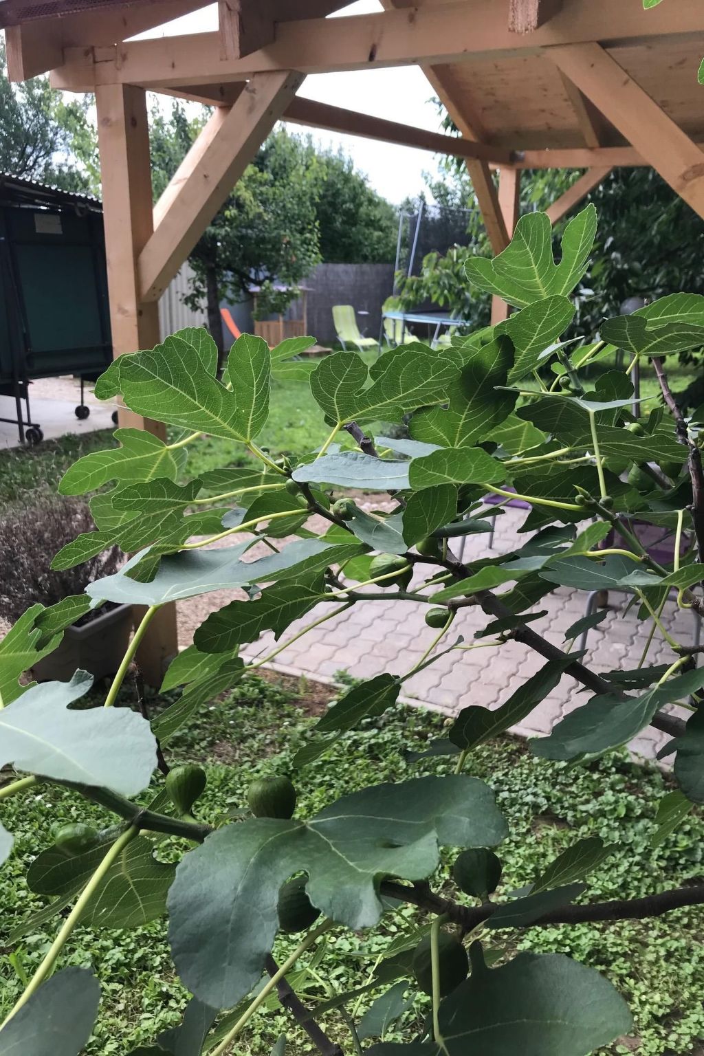 Hungarium am Platte-Binnen
