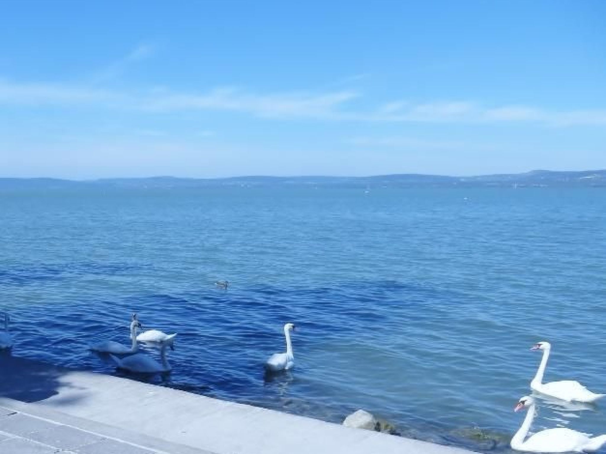 Hungarium am Platte-Binnen