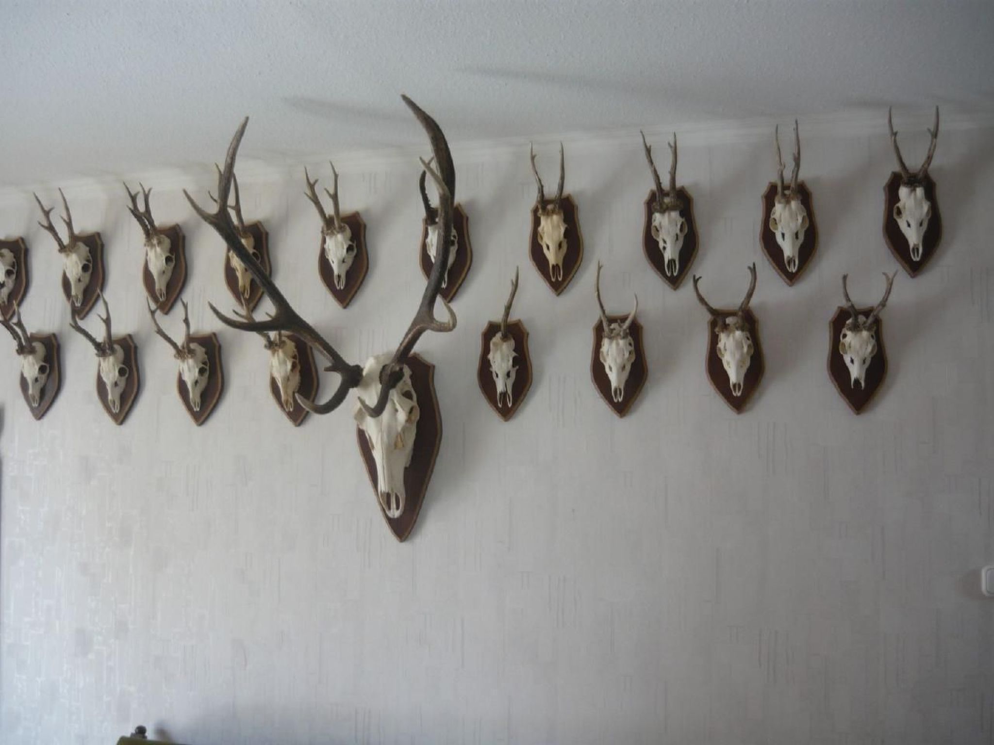 Mit möblierter Terrasse-Image-tags.info