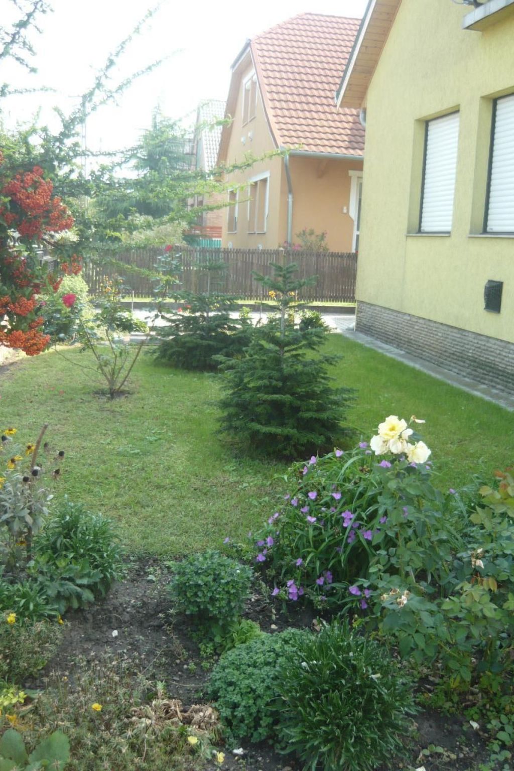 BO-43-Image-tags.info