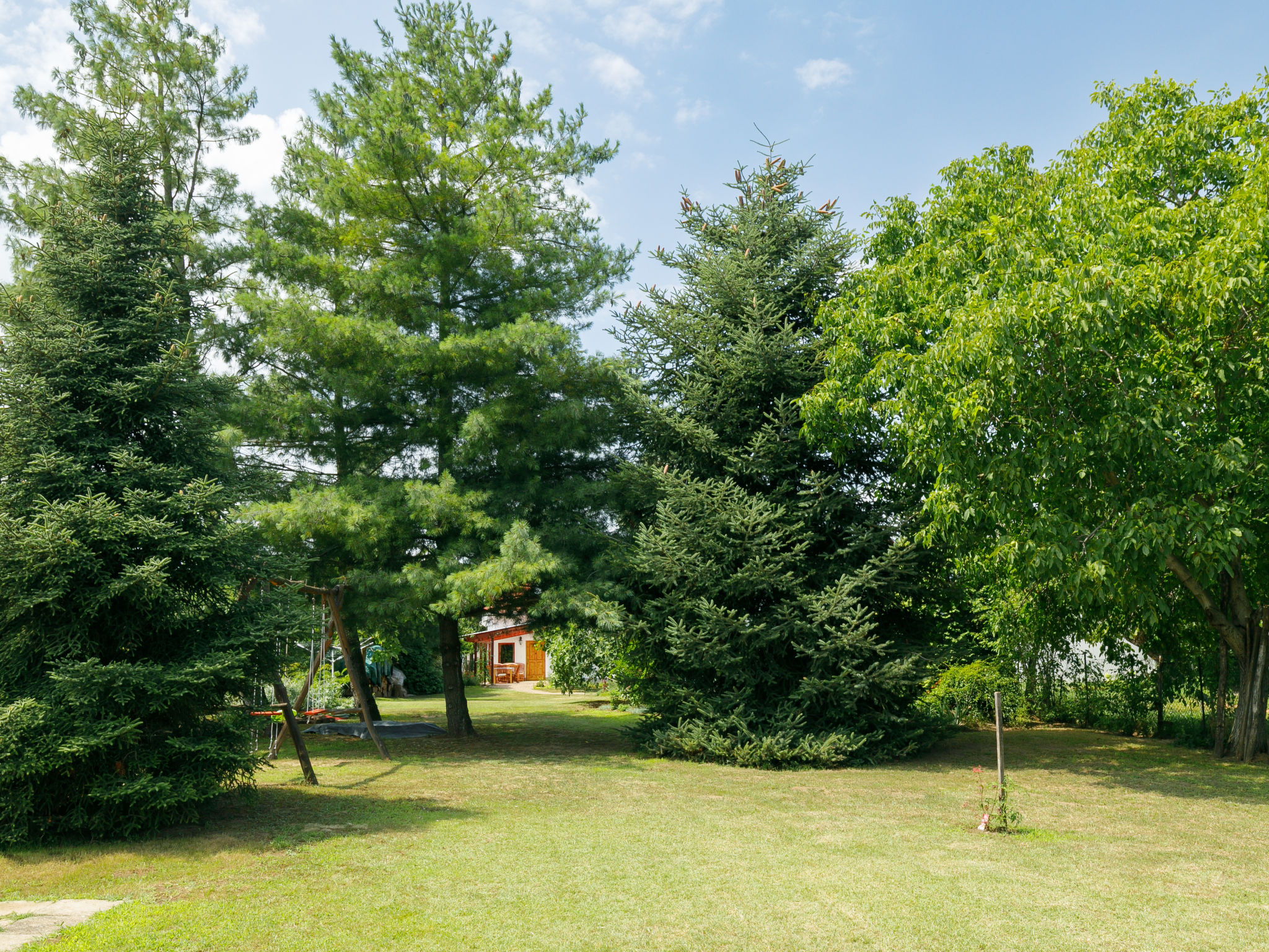 Magnolia - Image 4