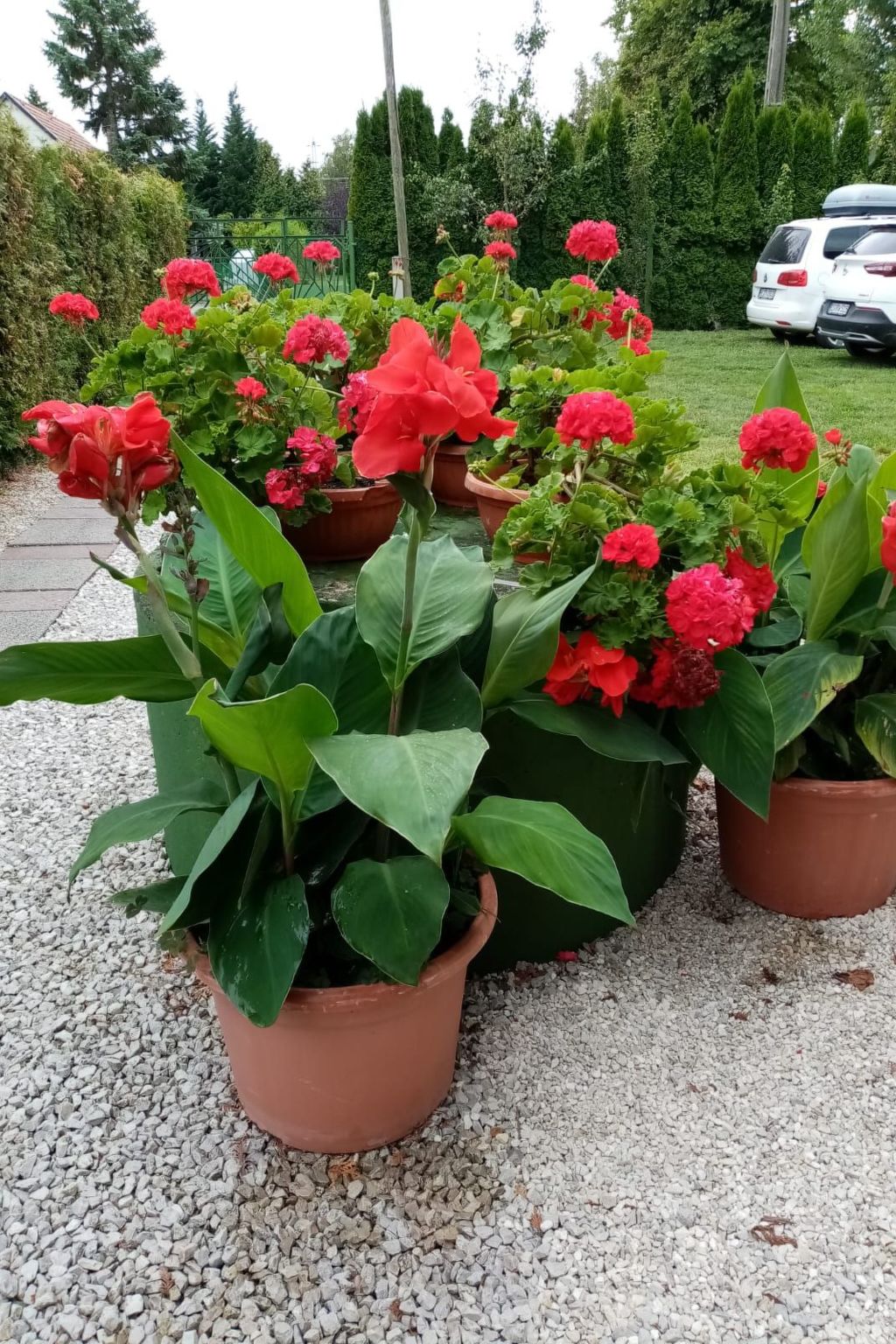 Feeienwohnung am See-Binnen