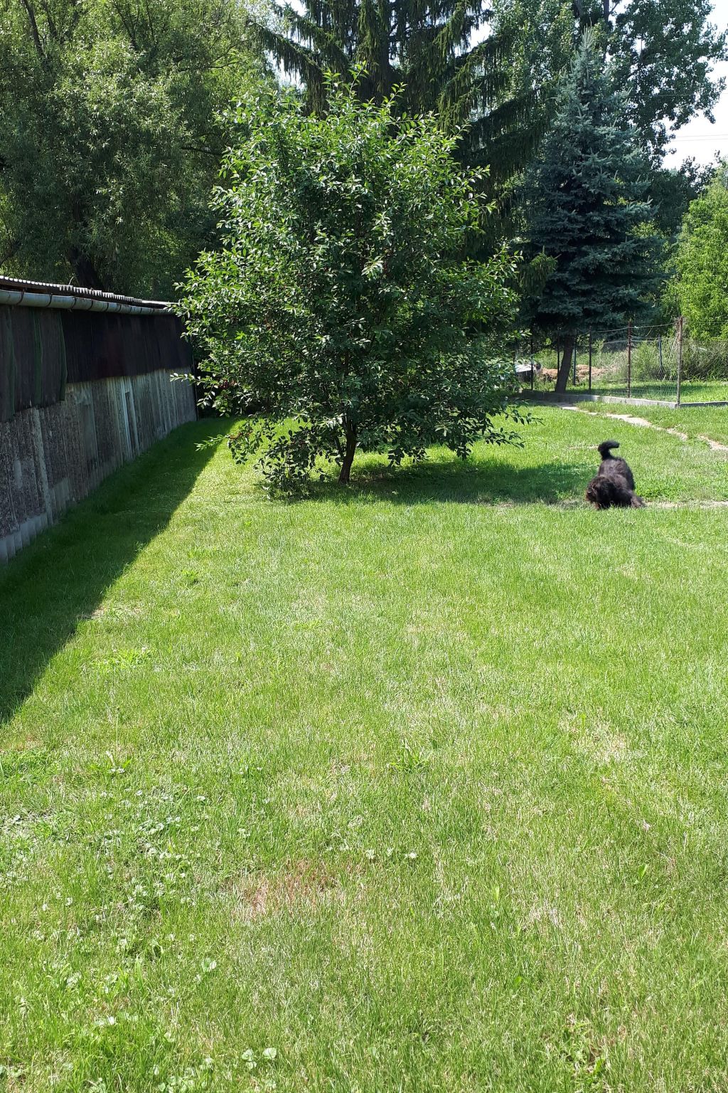 "Ferienhaus Frits"-Binnen