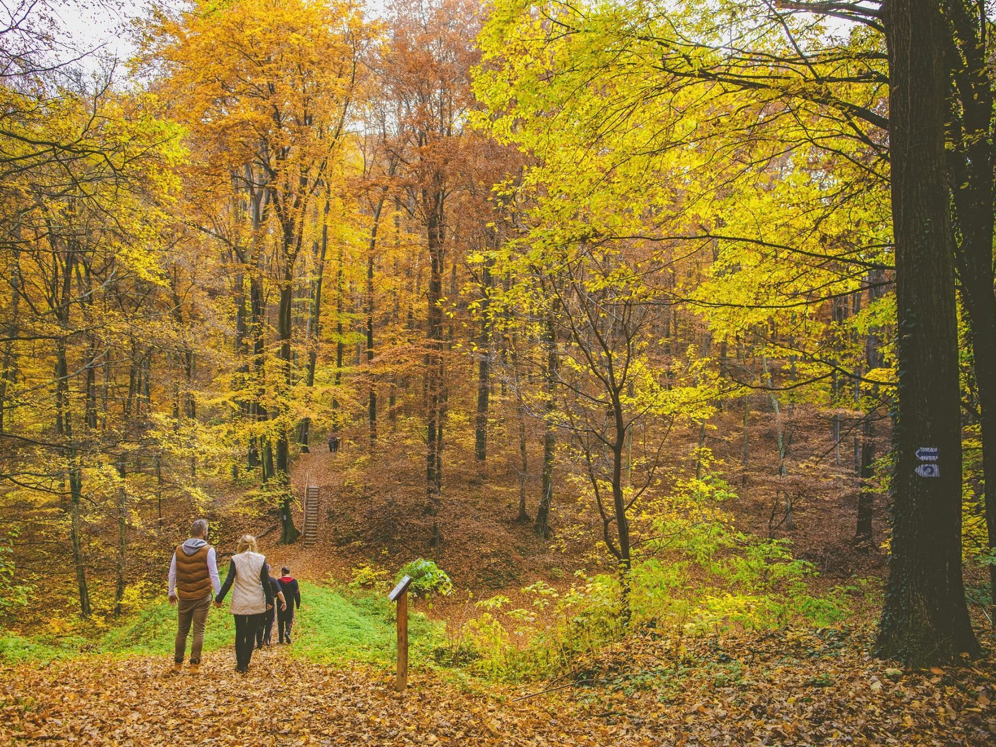 Bequem eingerichtete Wohnung mit großem Garten-Binnen