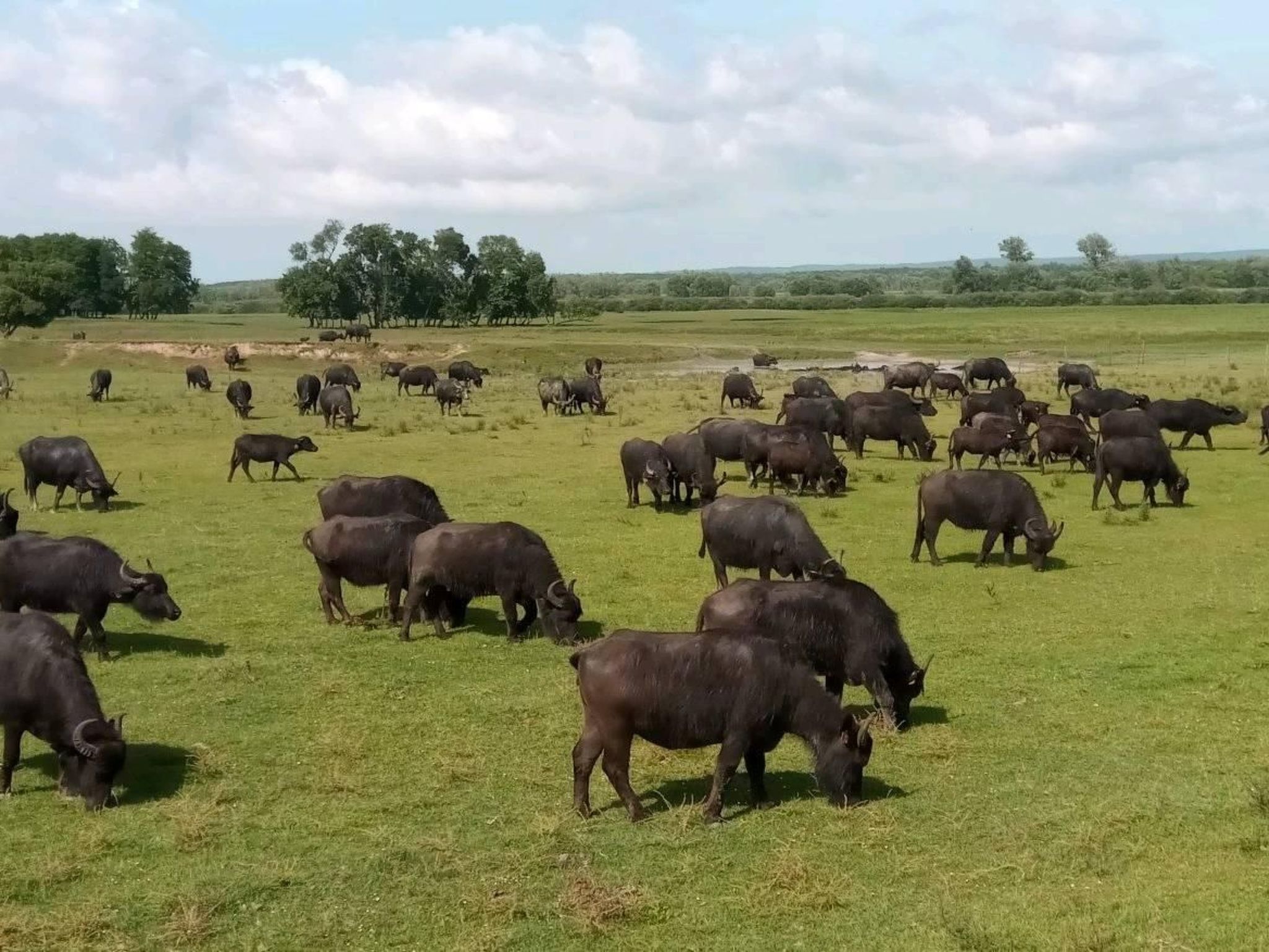 Bequem eingerichtete Wohnung mit großem Garten-Binnen
